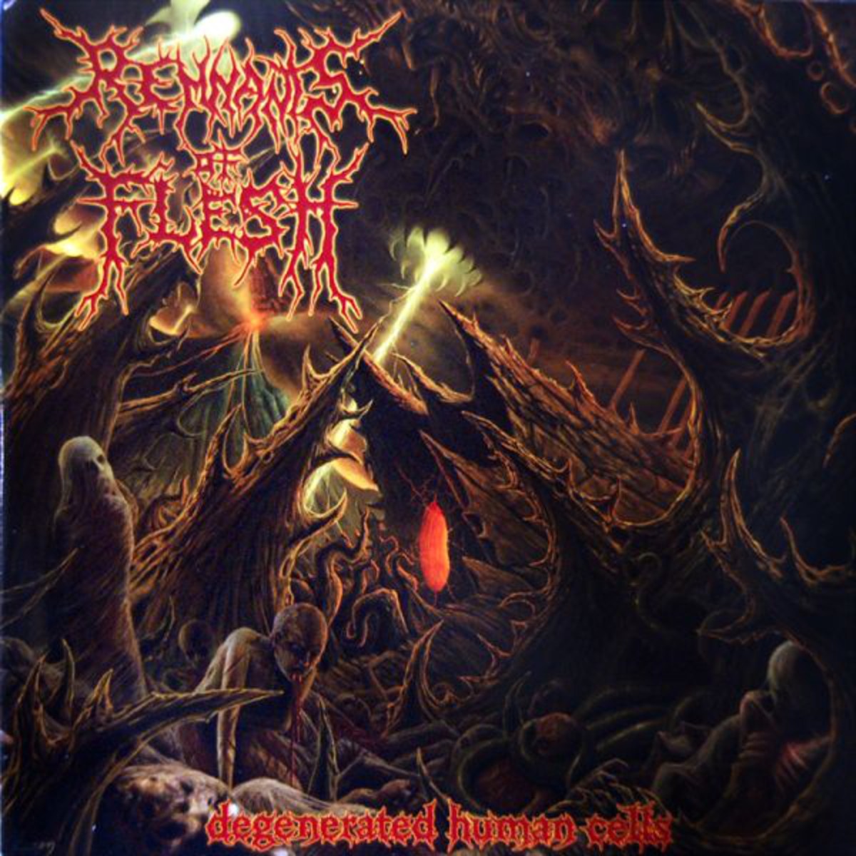 Intestinal Disgorge