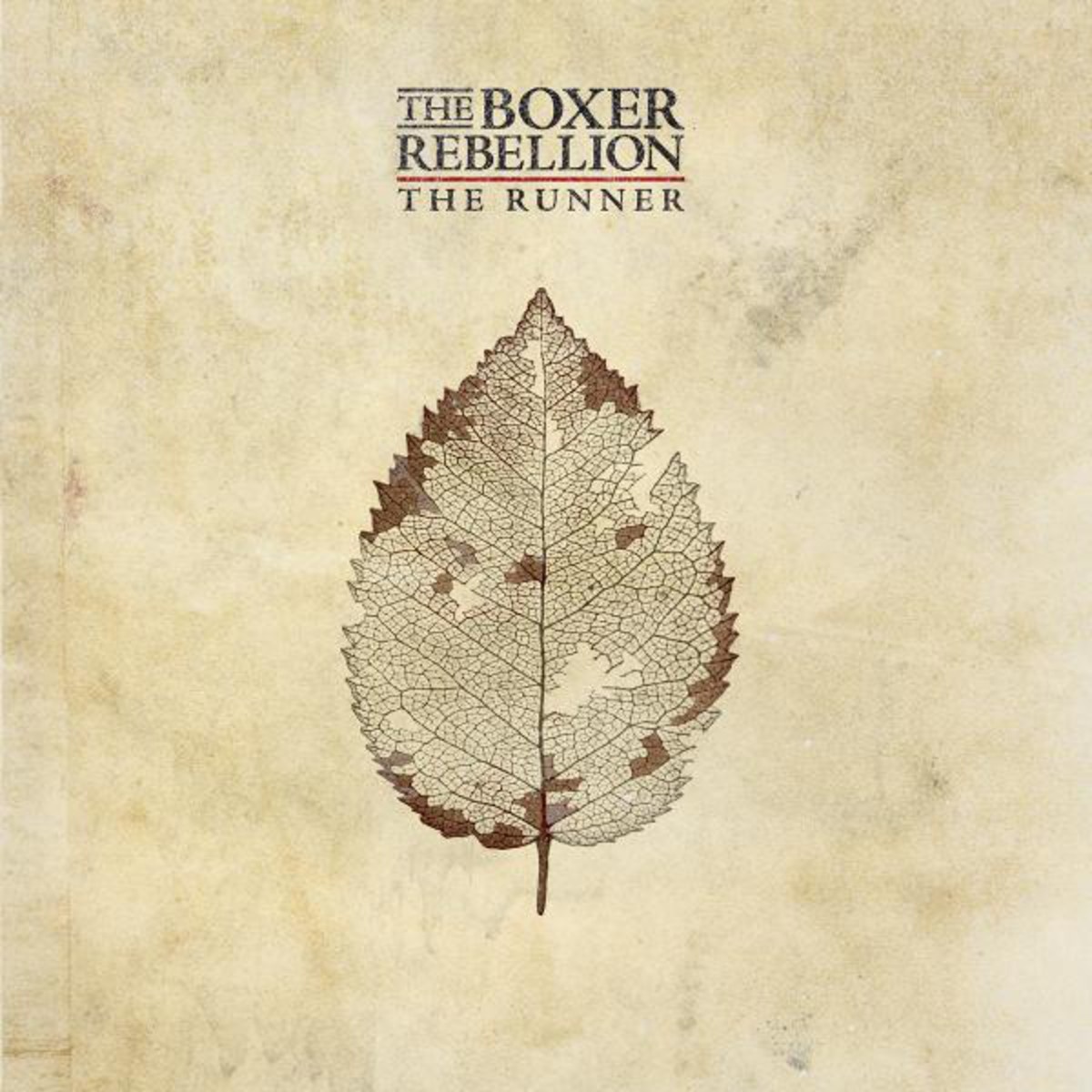 The Runner (The Joy Formidable Remix Dub)