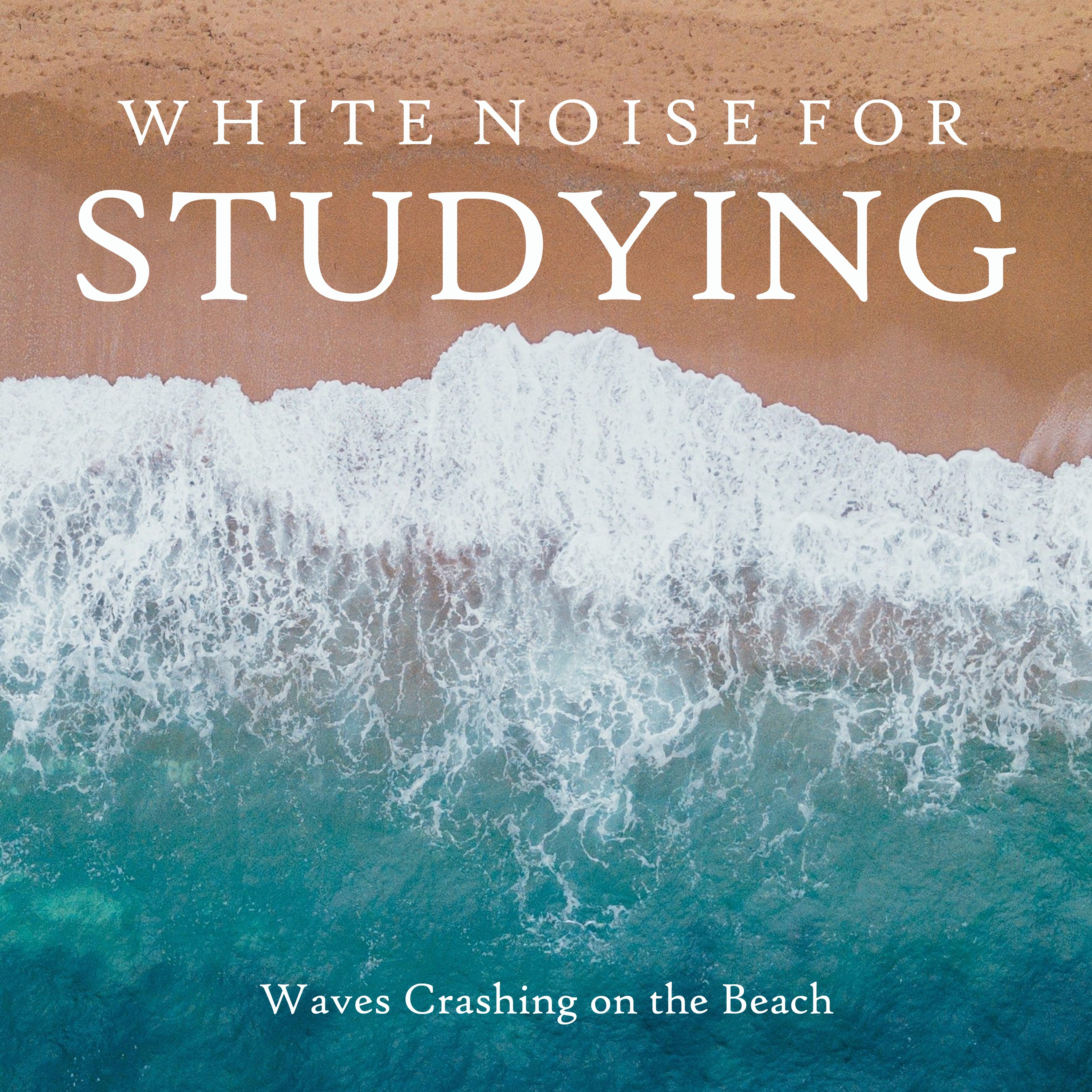 White Noise for Studying: Waves Crashing on the Beach