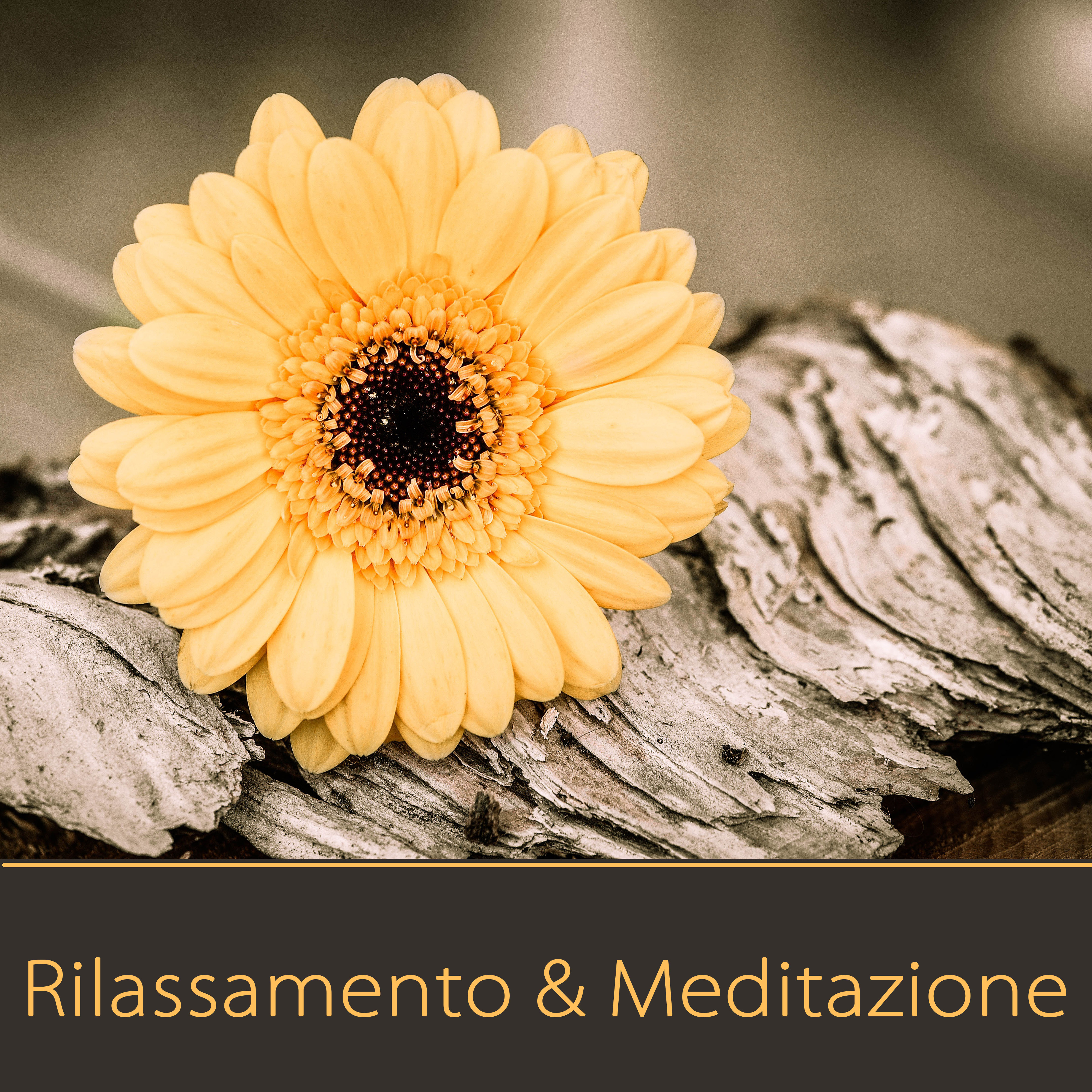 Rilassamento (Meditazione Vipassana)