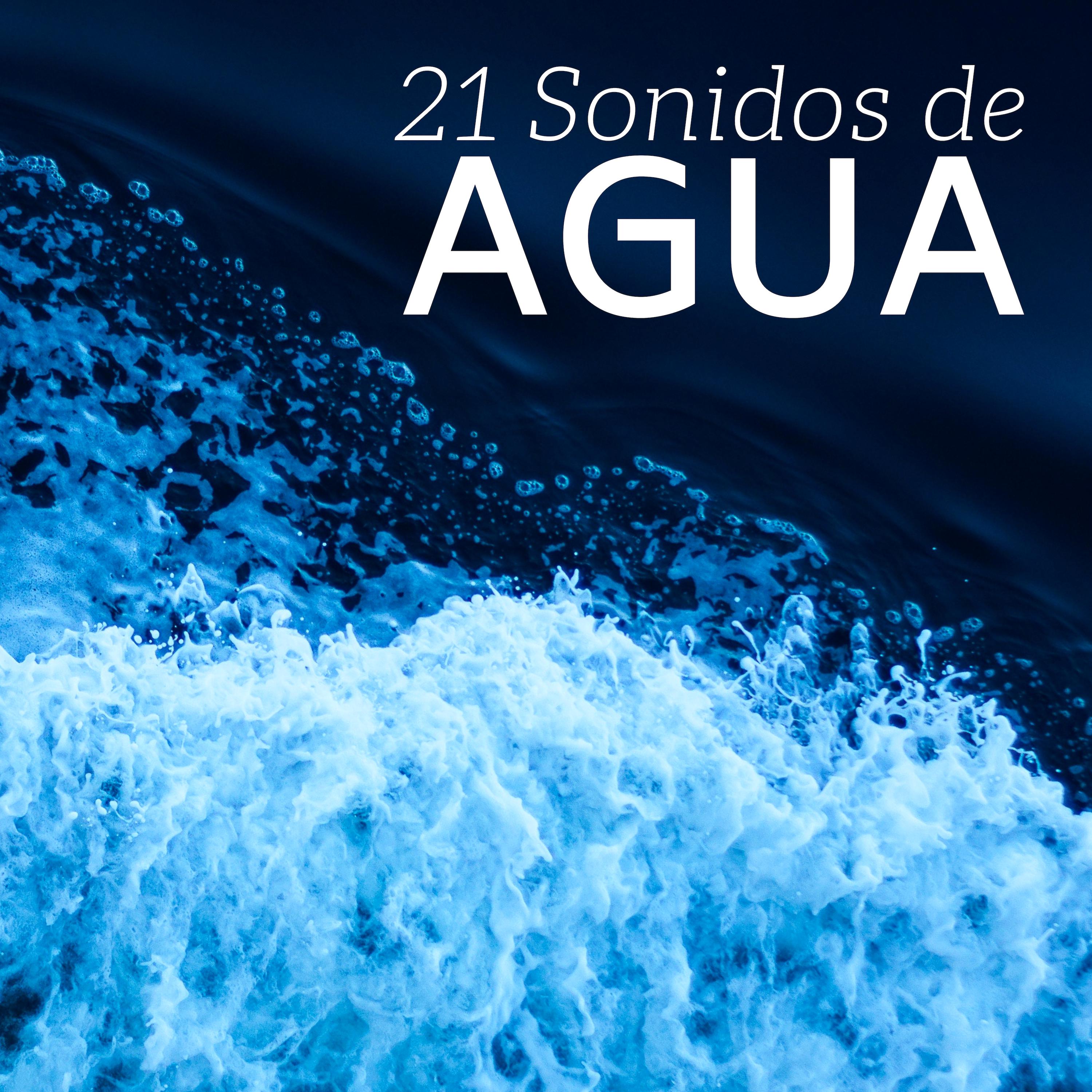 21 Sonidos de Agua - Sonidos del Mar y Música Relajante