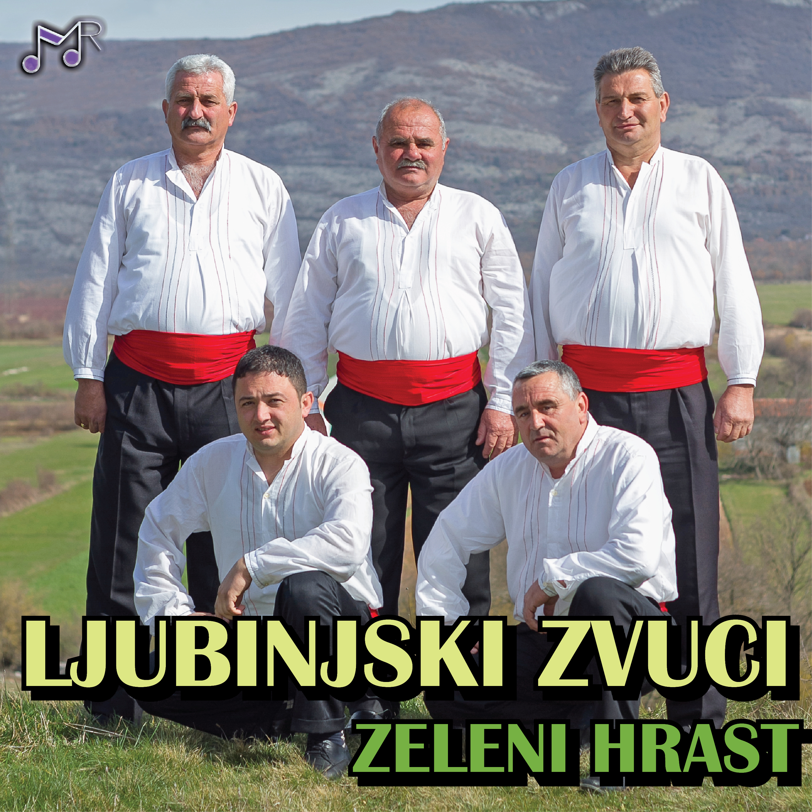 Zeleni hrast