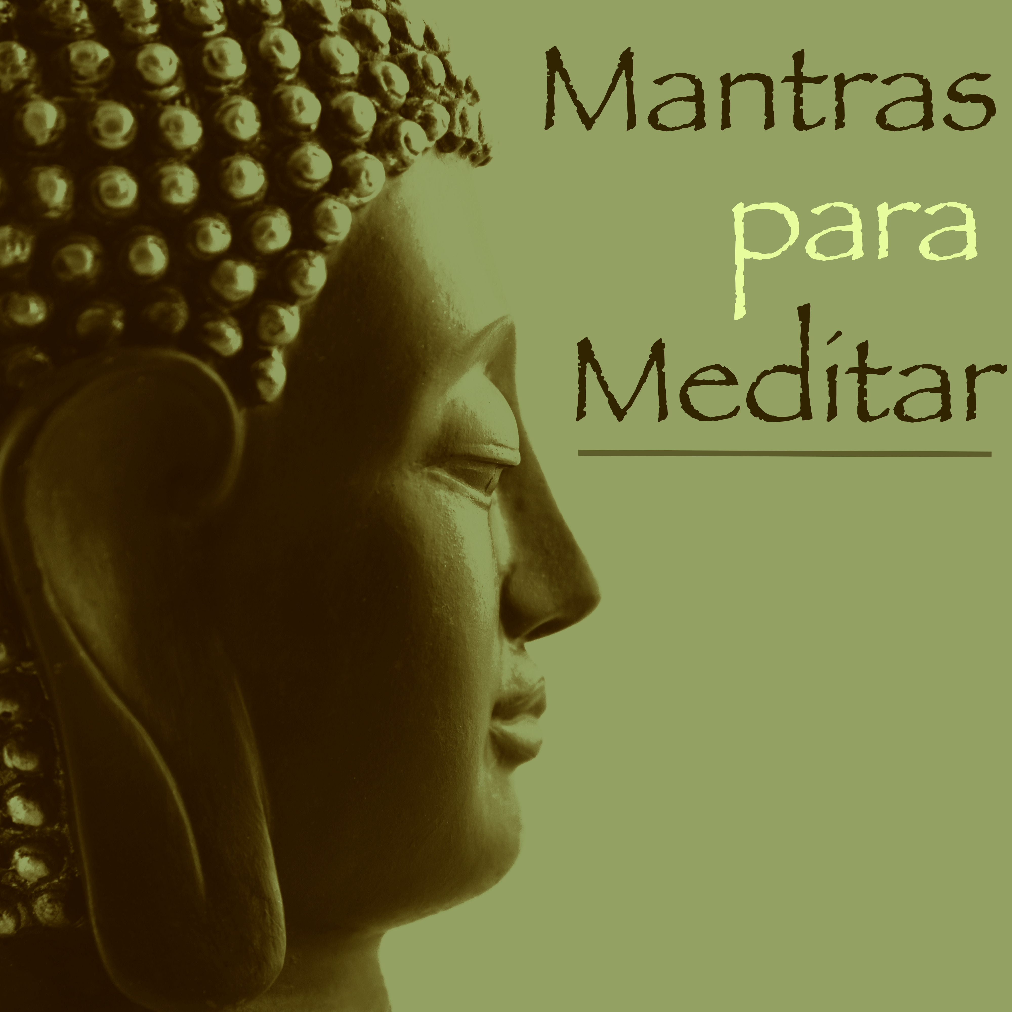 Mantras para Meditar – Musica Relajante para Dormir, Musica Reiki para Meditacion Mindfulness – Sonidos de la Naturaleza para Ejercicios de Yoga