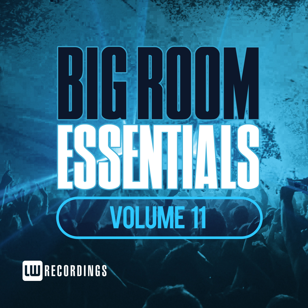 Big Room Essentials, Vol. 11