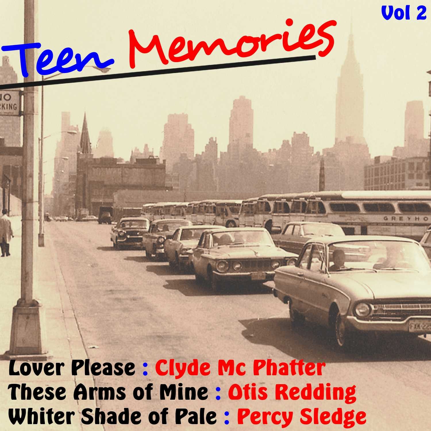 Teen Memories, Vol. 2