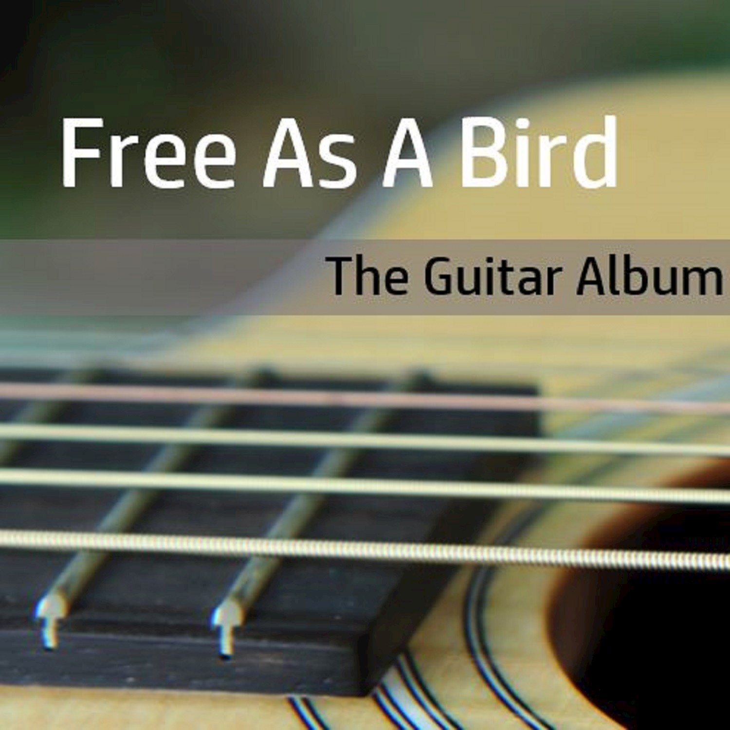 Adagio for Strings (Free Bird Mix)