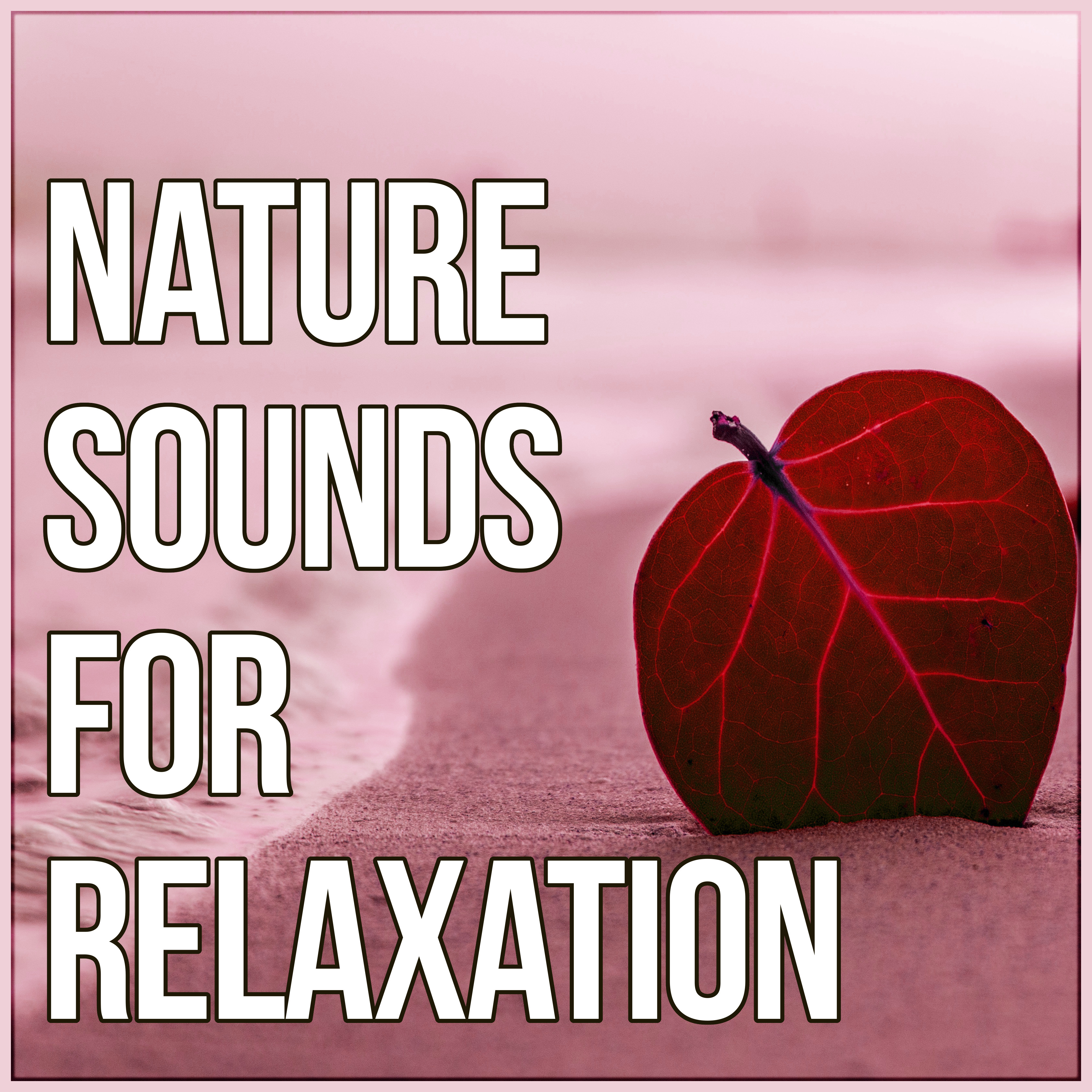 Nature Sounds for Relaxation - Healing Meditation and Yoga, Health & Healing Relaxation, Calm Background Music