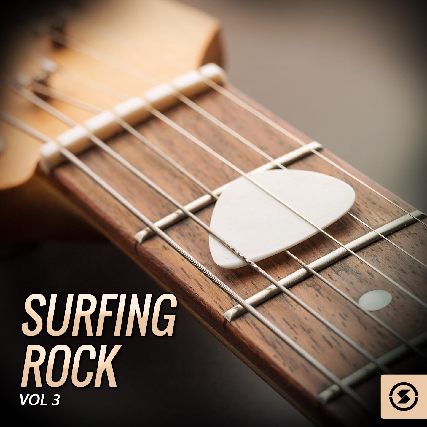 Surfing Rock, Vol. 3