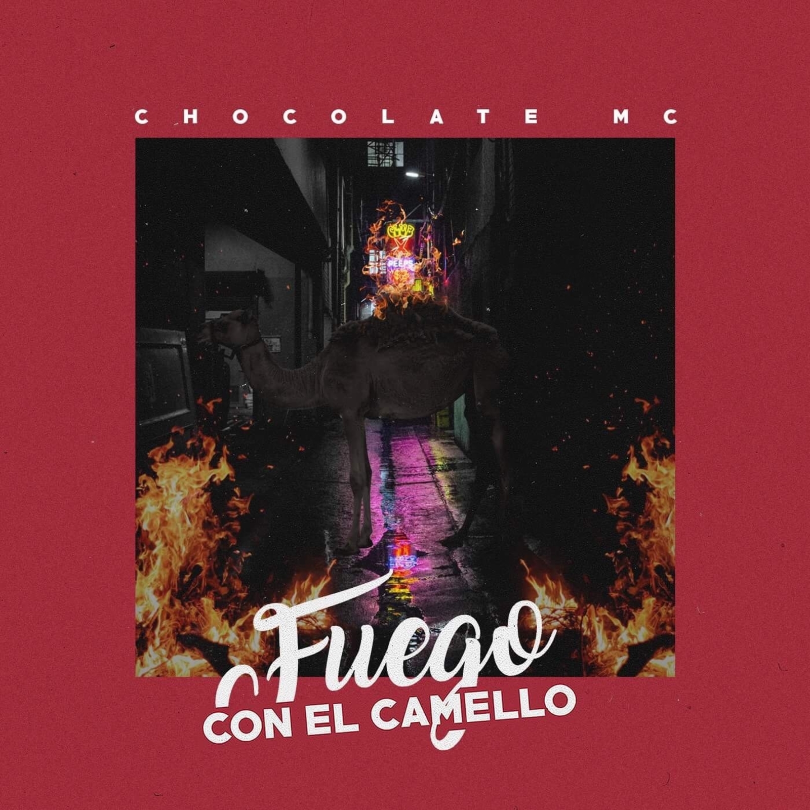 Fuego con el Camello