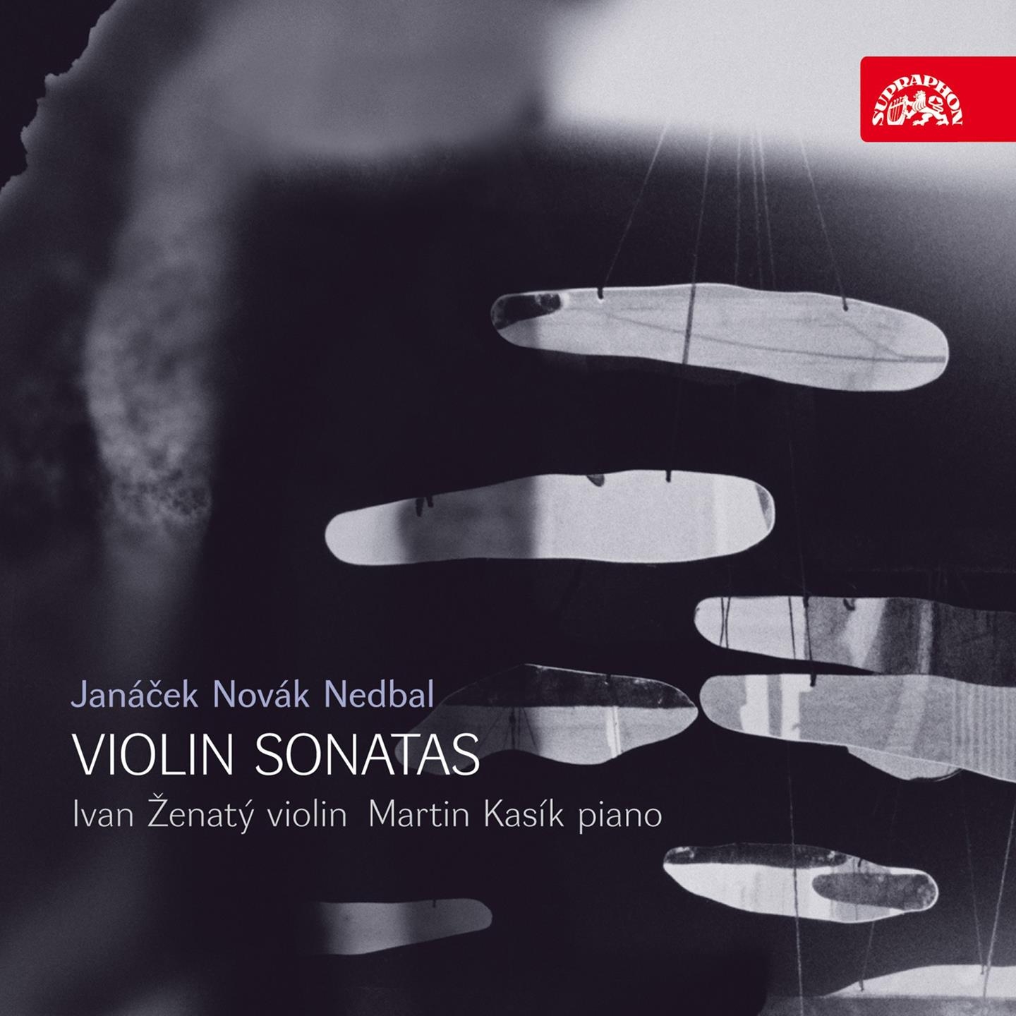 Violin Sonata in B Minor, Op. 9: II. Andante con moto