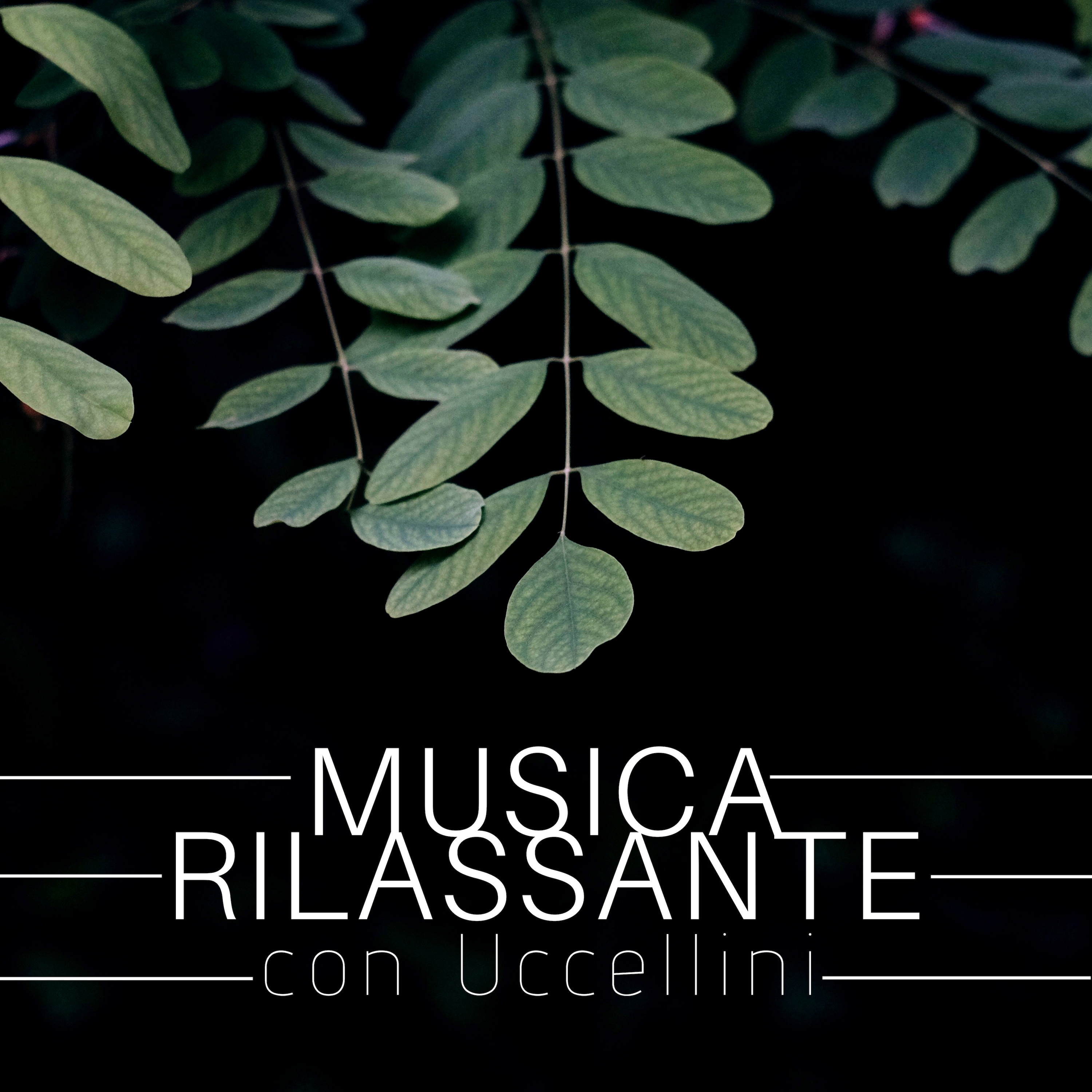 Musica Rilassante con Uccellini 2018 - Suoni della Natura per Dormire