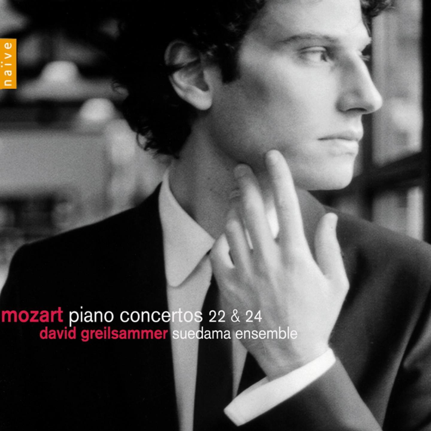 Concerto No. 24 in C Minor, K. 491: II. Larghetto