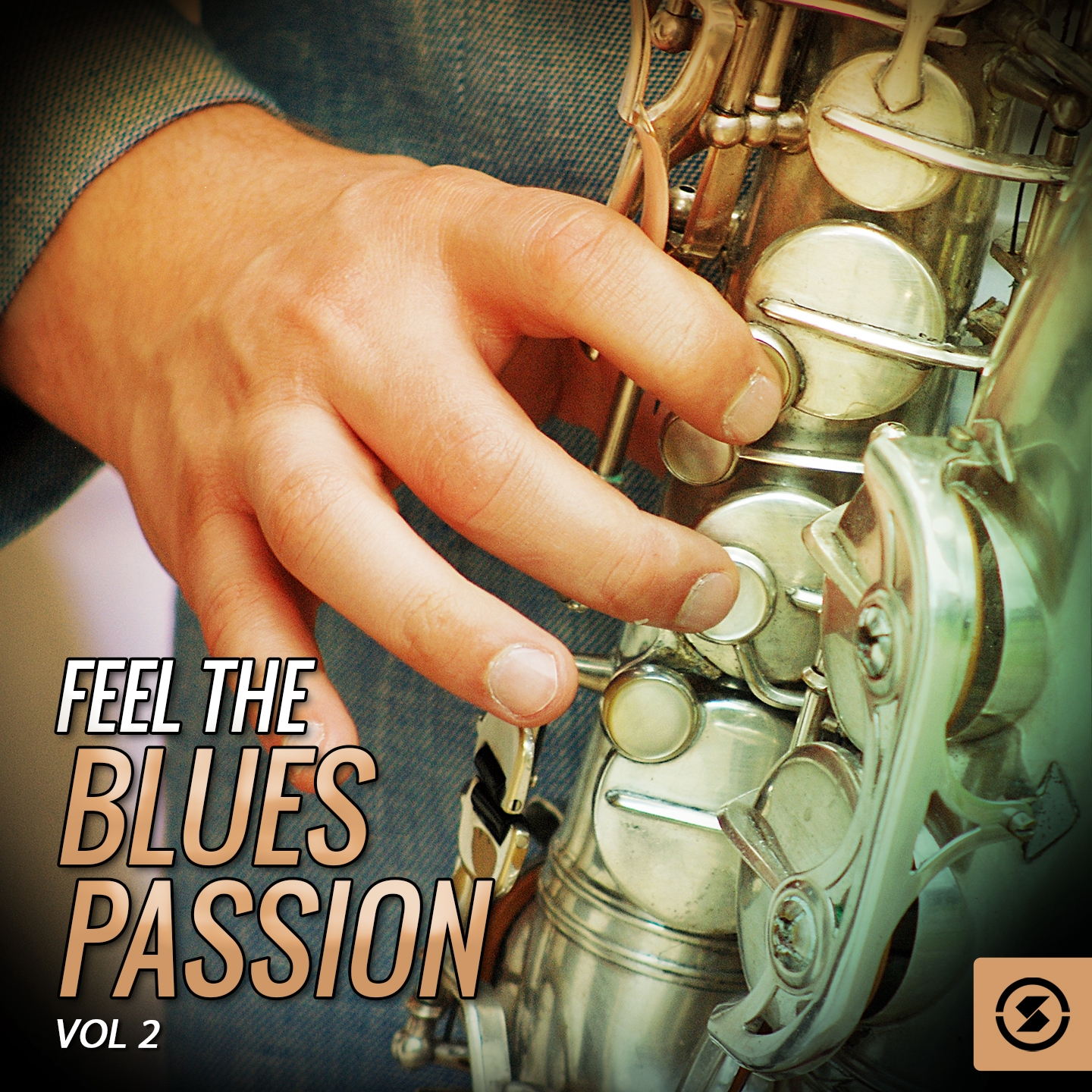 Feel the Blues Passion, Vol. 2