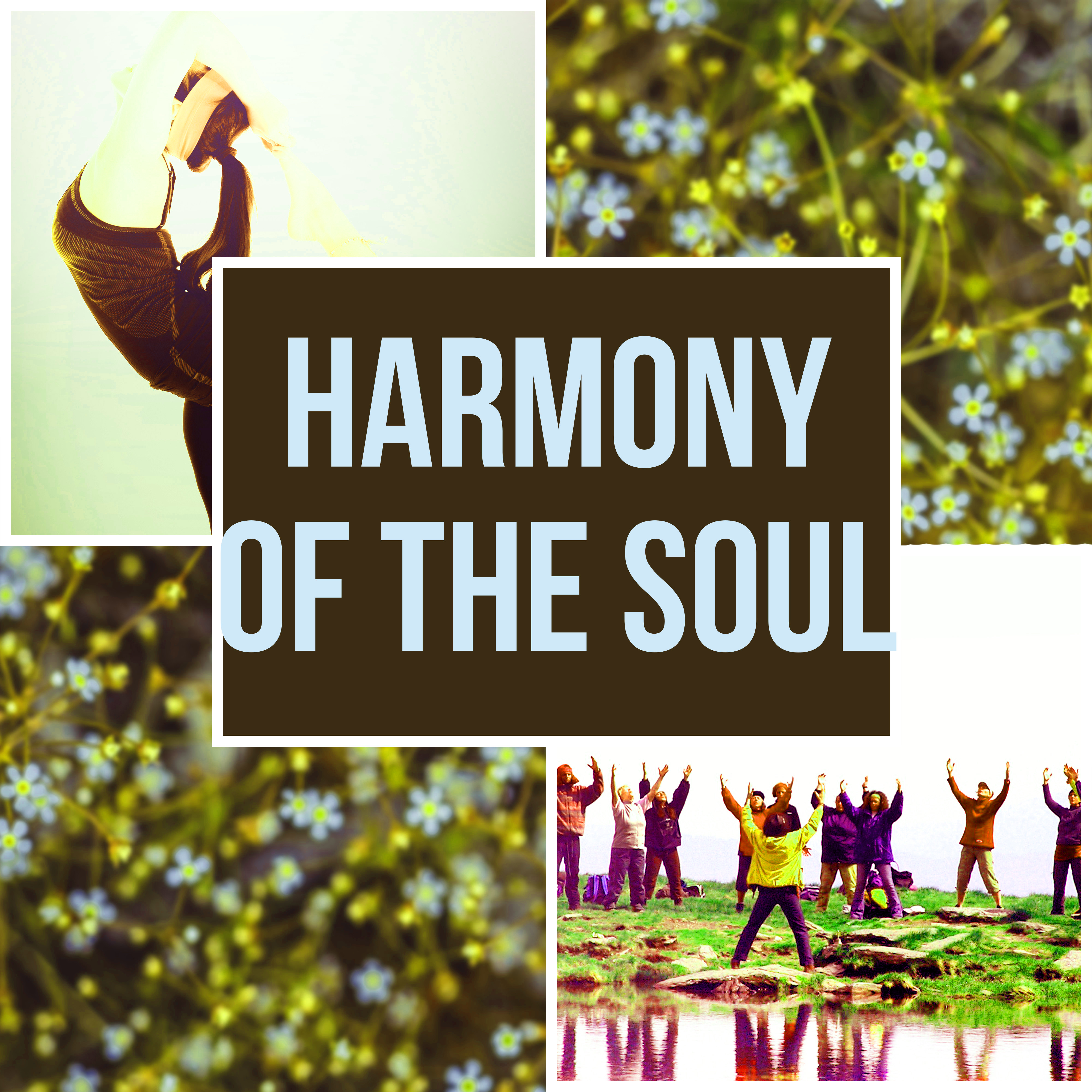 Harmony of the Soul - Relaxing Instrumental Music, Soothing Sounds for Massage, Gentle Touch, Calming Music