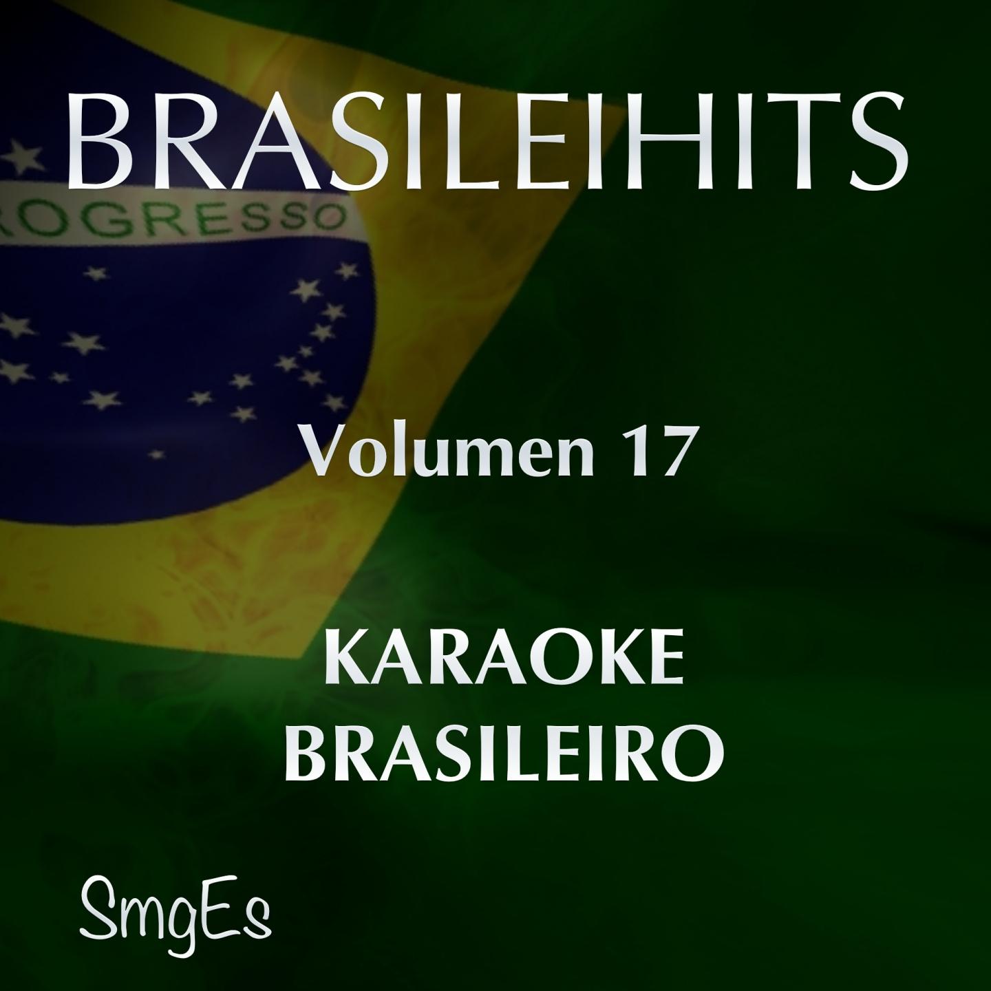 BrasileiHits, Vol. 17 (Karaoke Version)