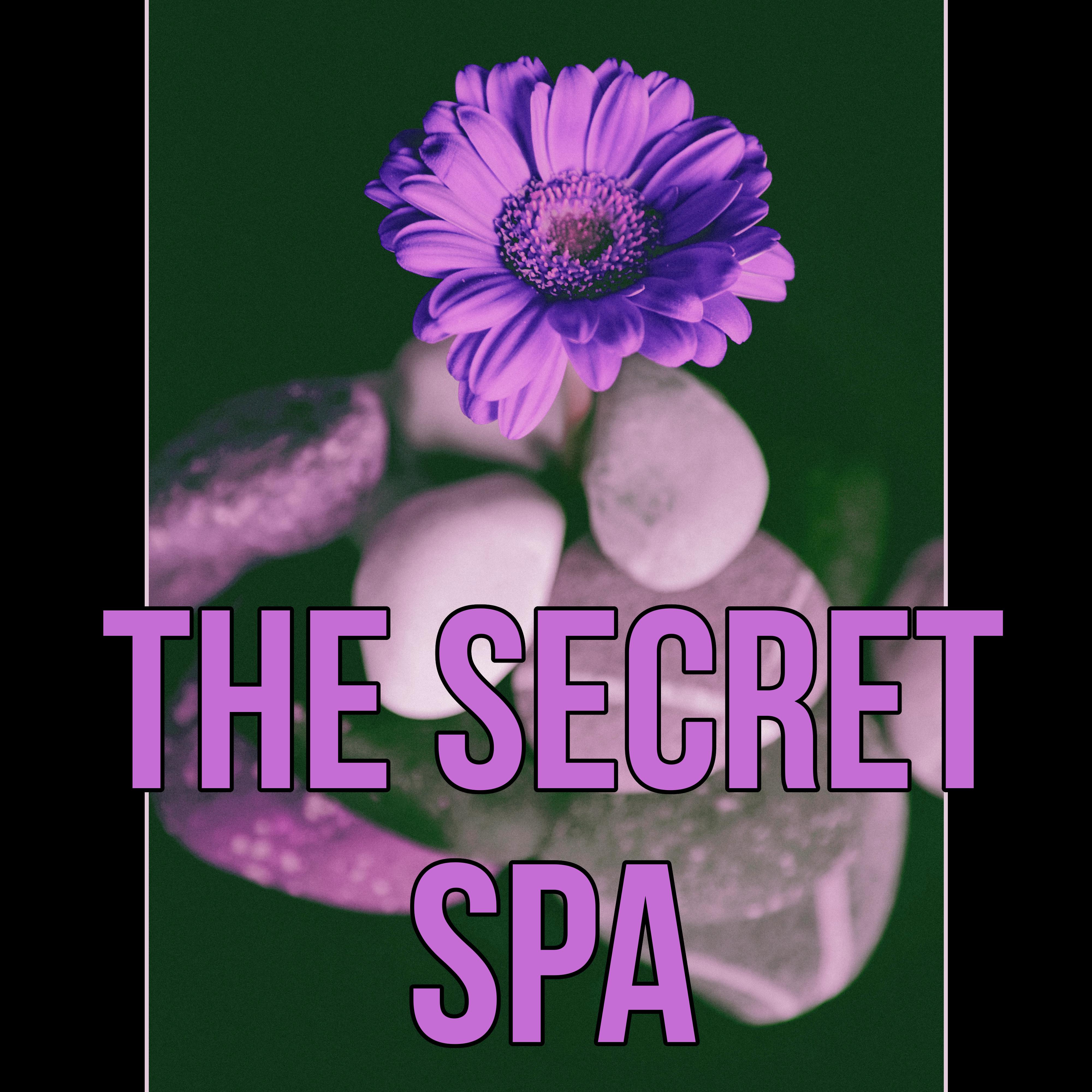 The Secret Spa - In Harmony with Nature Sounds, Pacific Ocean Waves for Well Being and Healthy Lifestyle, Yin Yoga, Massage Therapy, Home Spa