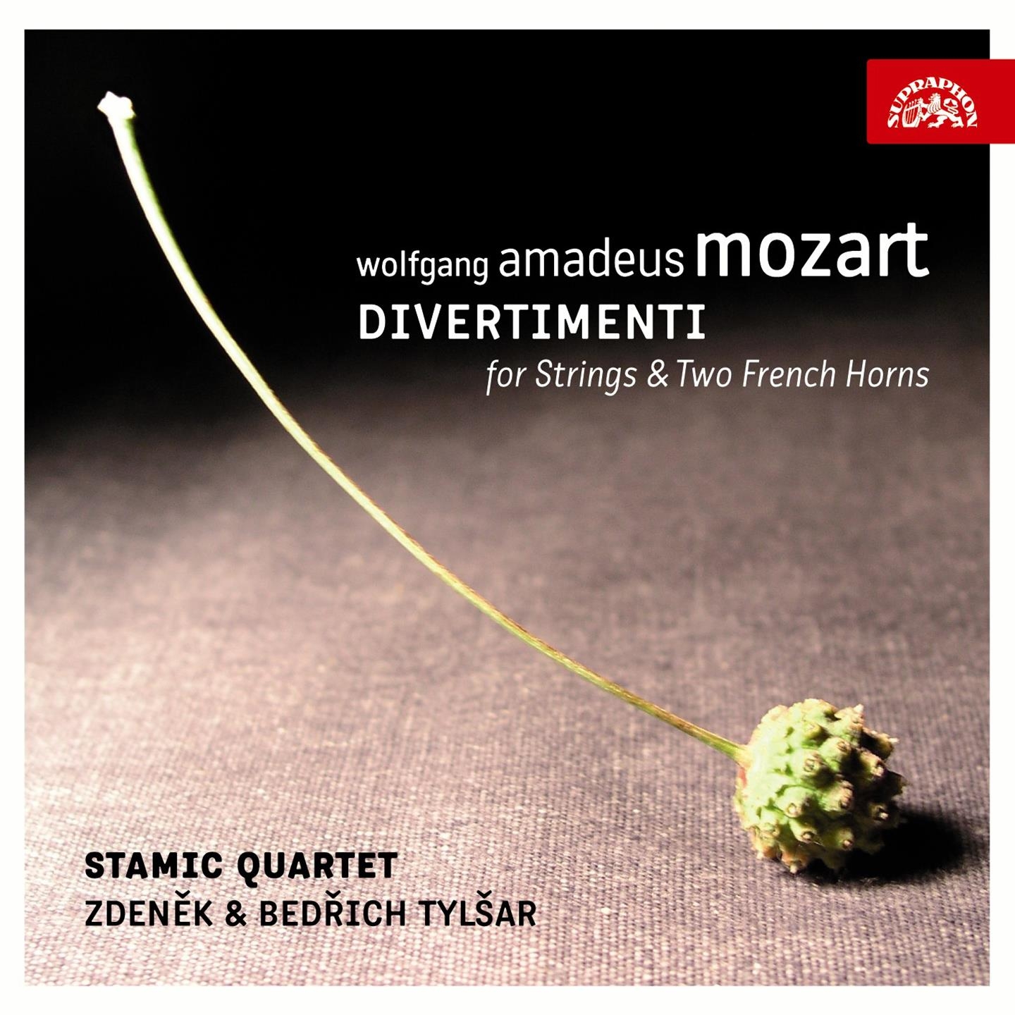 Mozart: Divertimenti for Strings and 2 French Horns