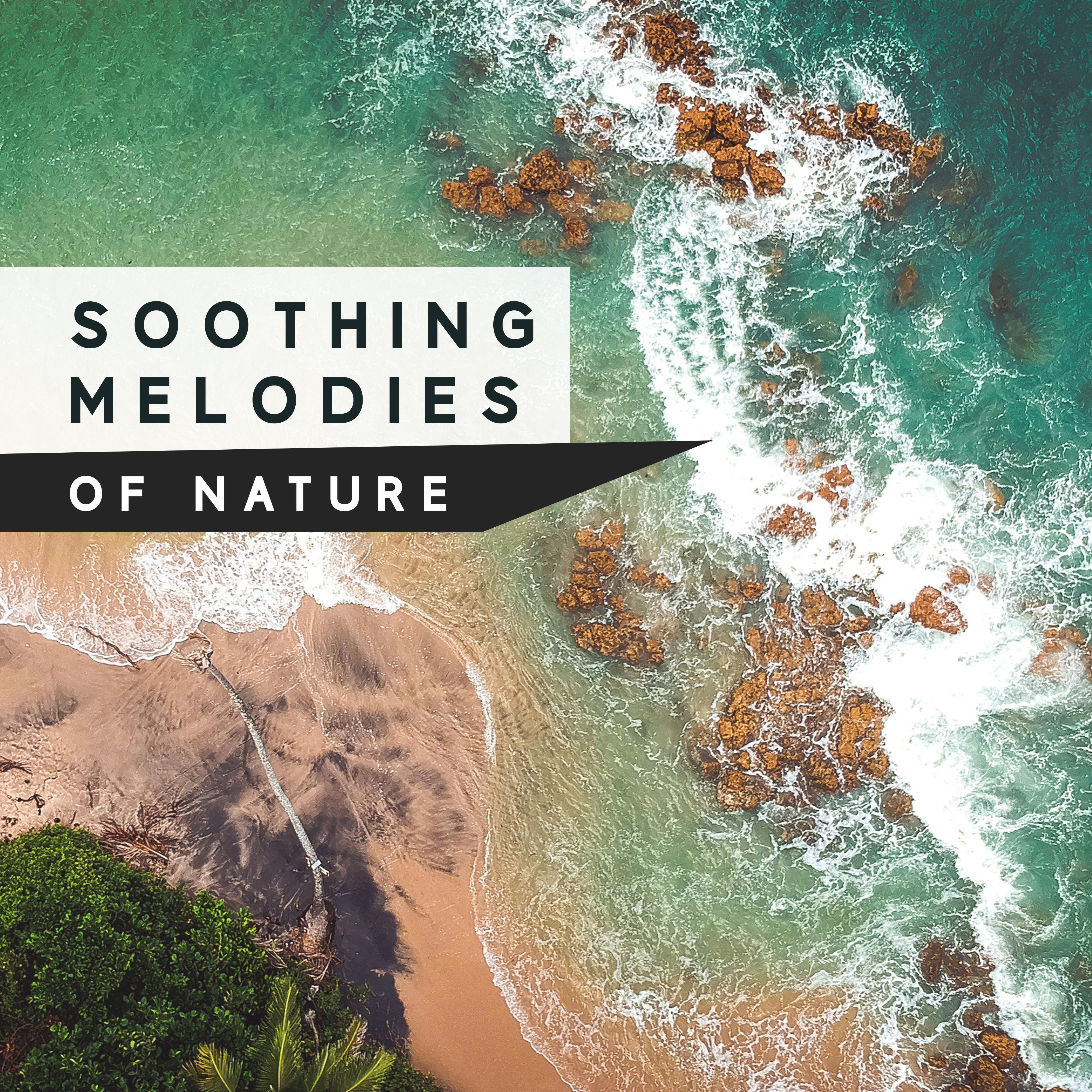 Soothing Melodies of Nature