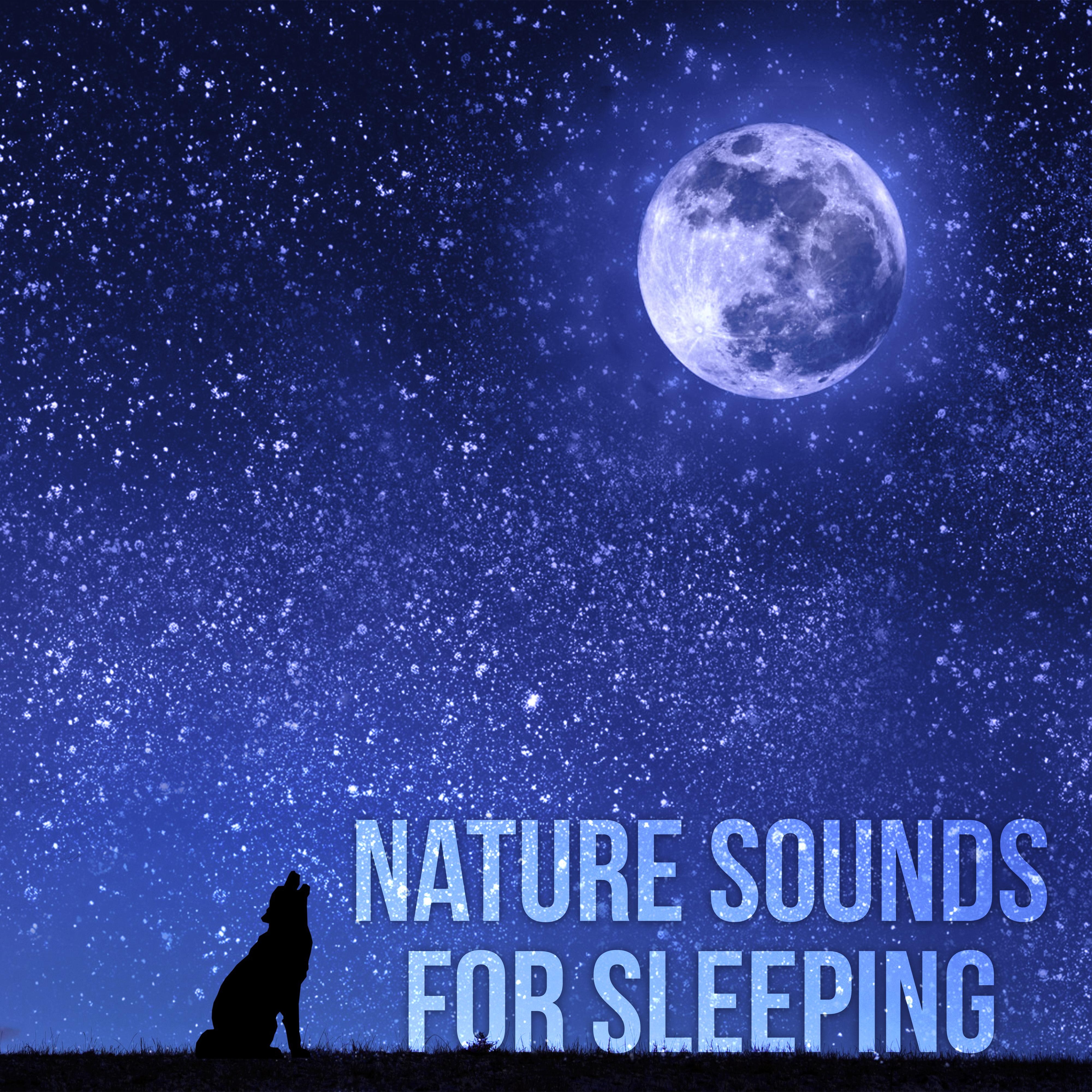 Nature Sounds for Sleeping - Sea Sounds, Music for Peace & Tranquility Massage, Night Sounds and Piano for Reiki Healing, Ocean Waves and Pan Flute, Erotic Massage Music