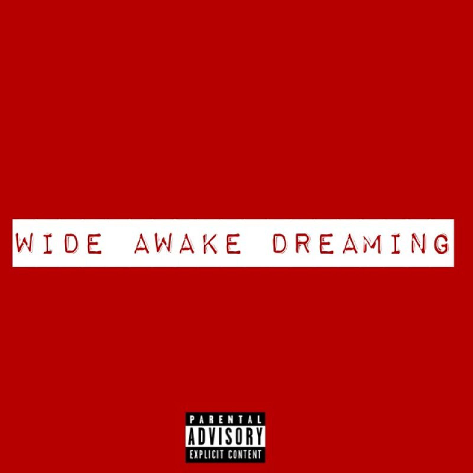 Wide Awake Dreaming