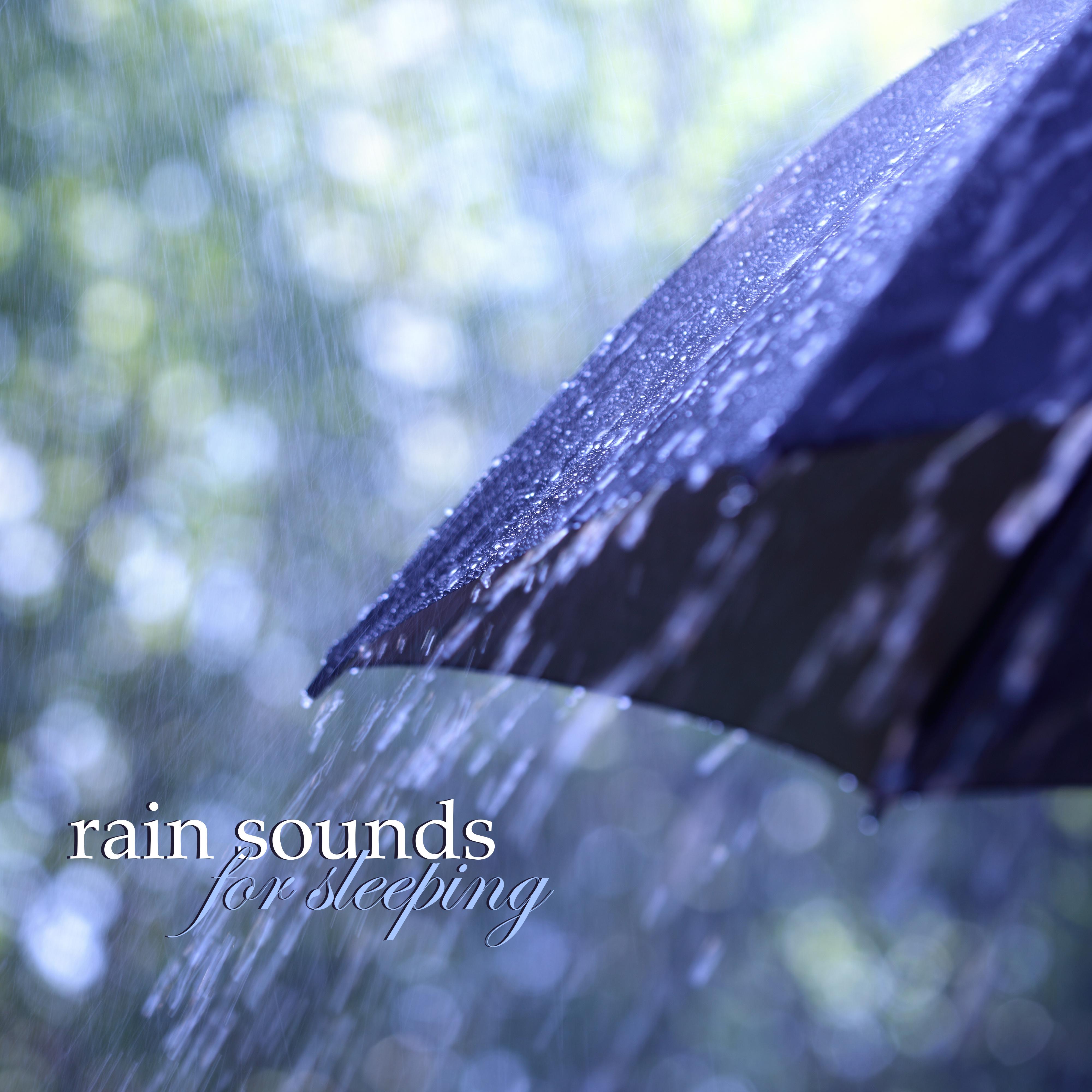 Rain Sounds for Sleeping - Rain Drops Sound Effects, Thunderstom Sounds and Relaxing Meditation Music Collection