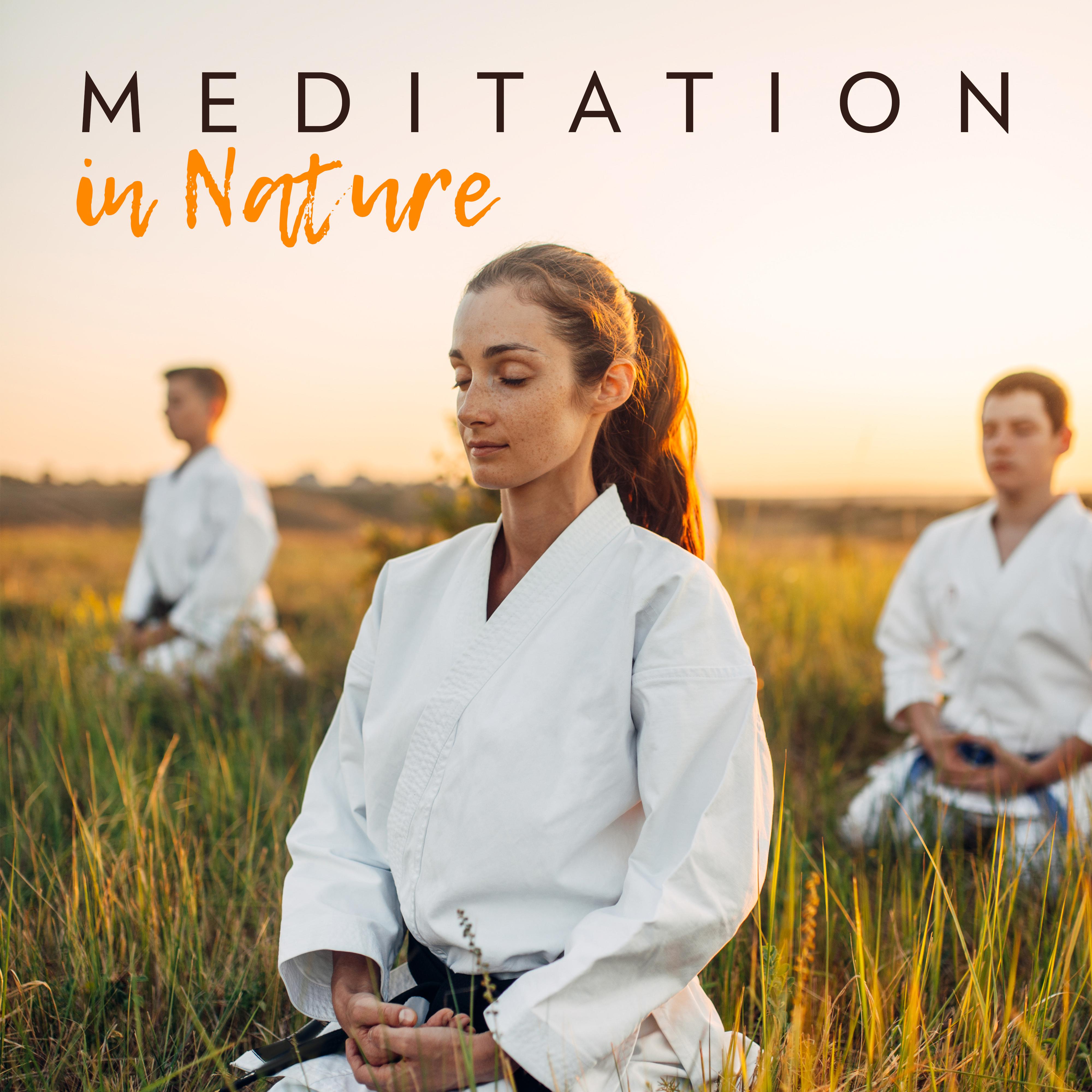Meditation in Nature: Calm, Silent and Delicate Music for Meditation (Spiritual Walk around the Zen Garden)