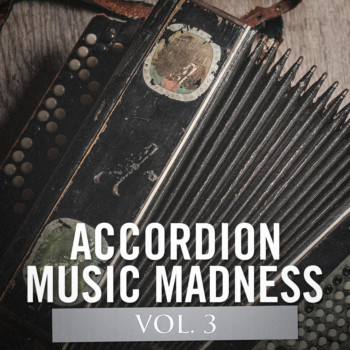 Accordion Music Madness, Vol. 3