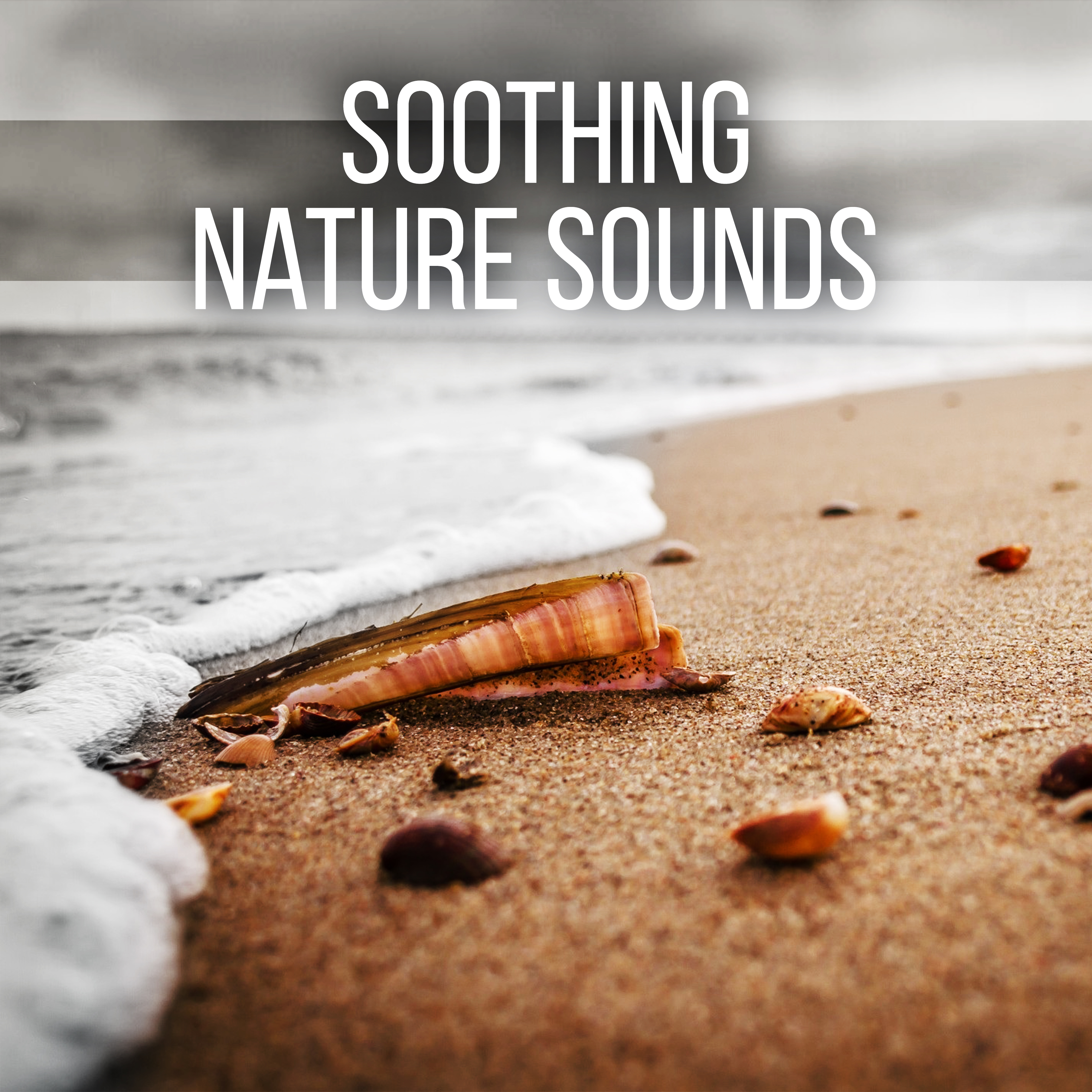 Soothing Nature Sounds - Healing Ocean Waves, Pure Nature, Relax, Deep Sleep, Calming Music, New Age