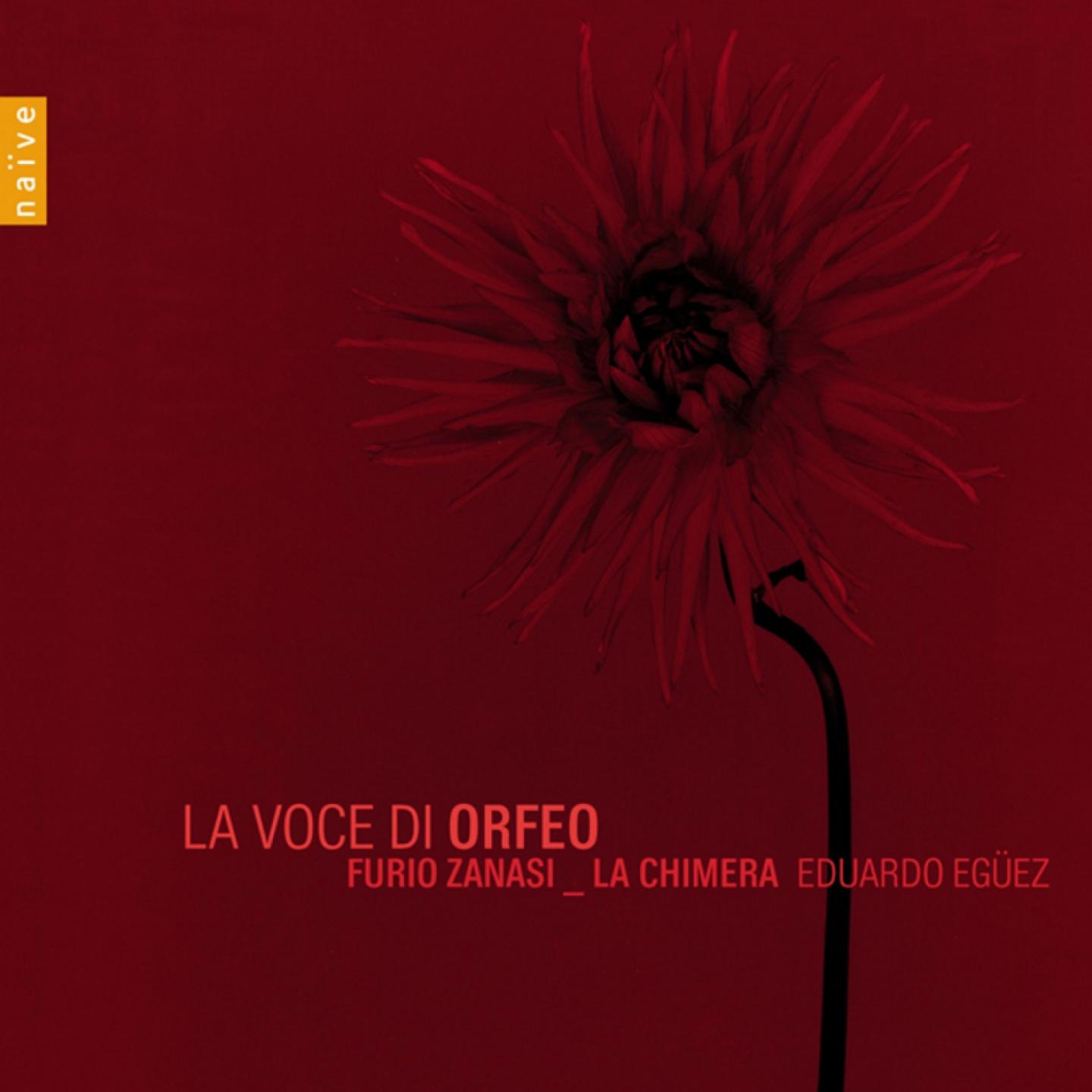 La Voce Di Orfeo