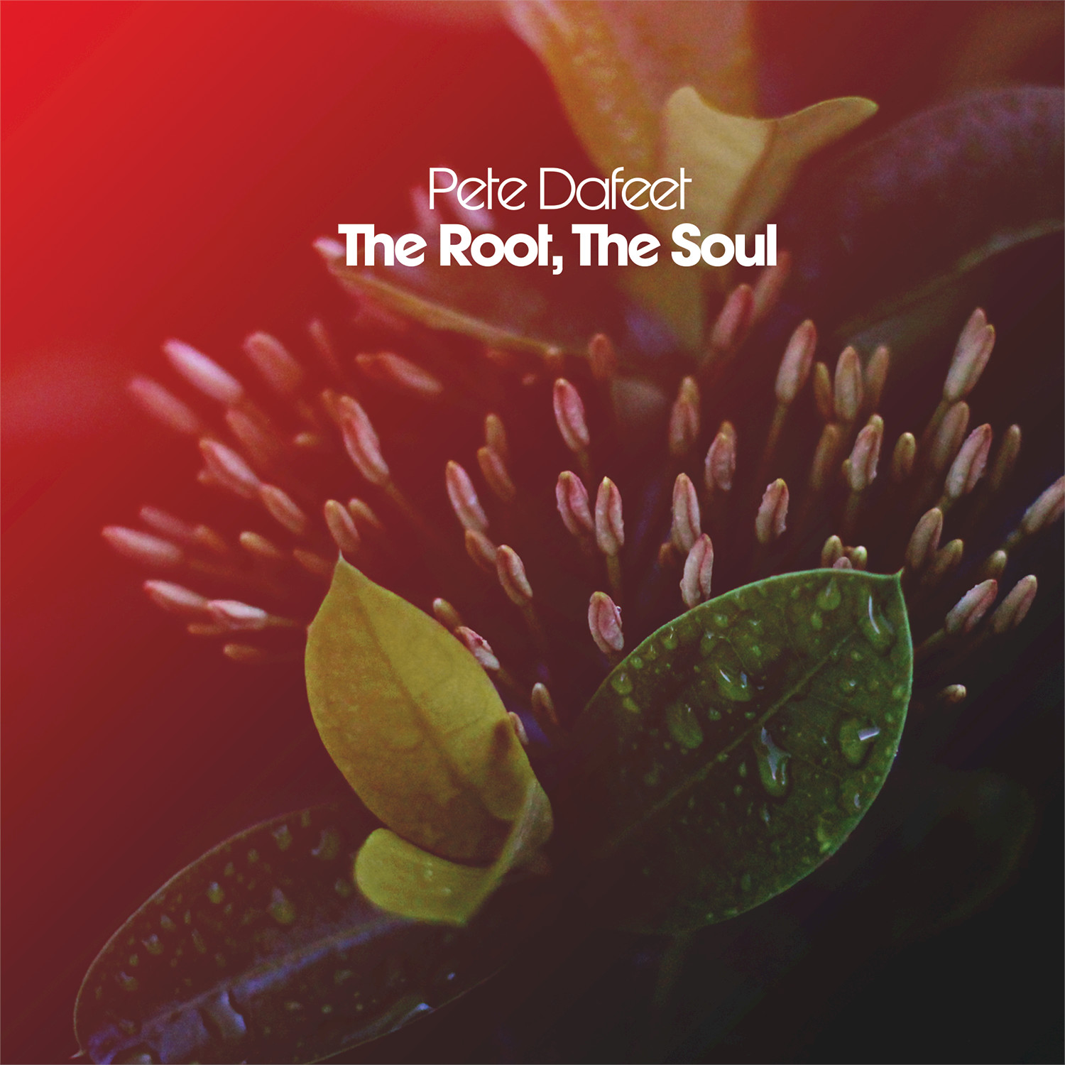The Root, the Soul (Extended Mix)