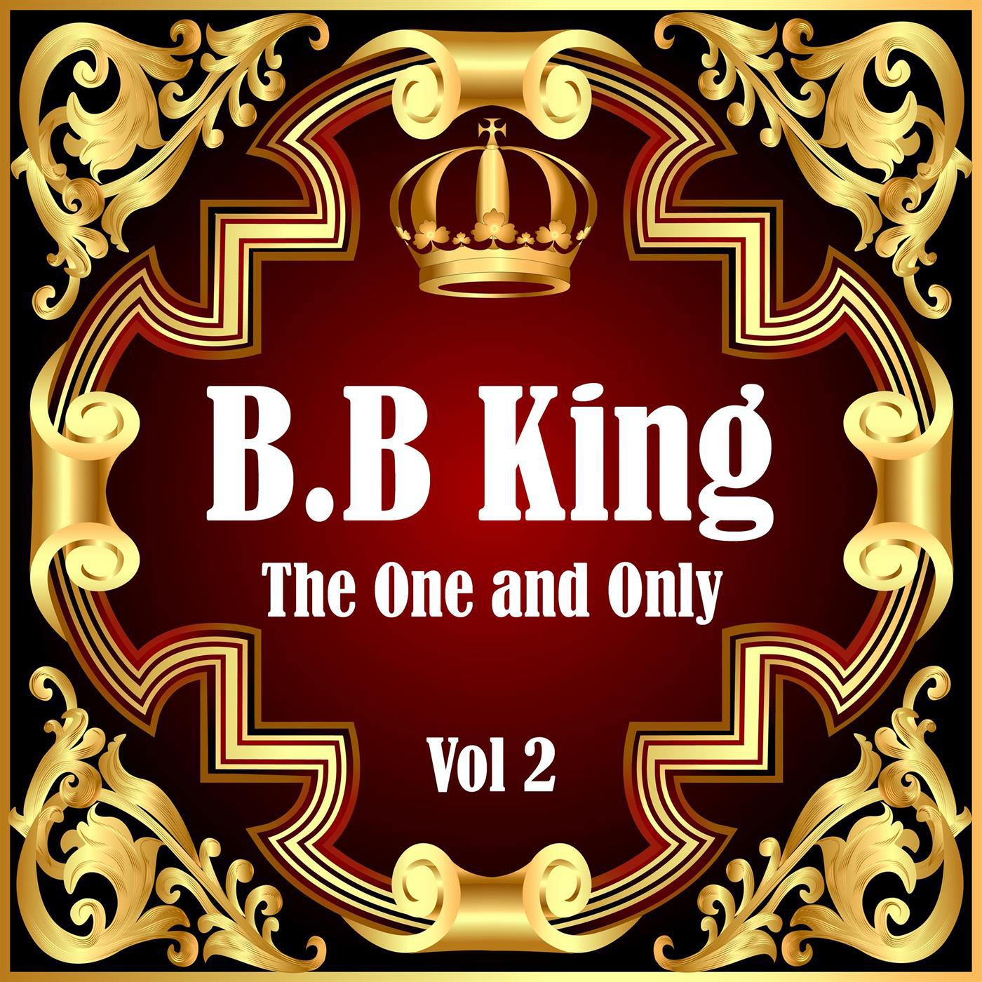 B.B King: The One and Only Vol 2