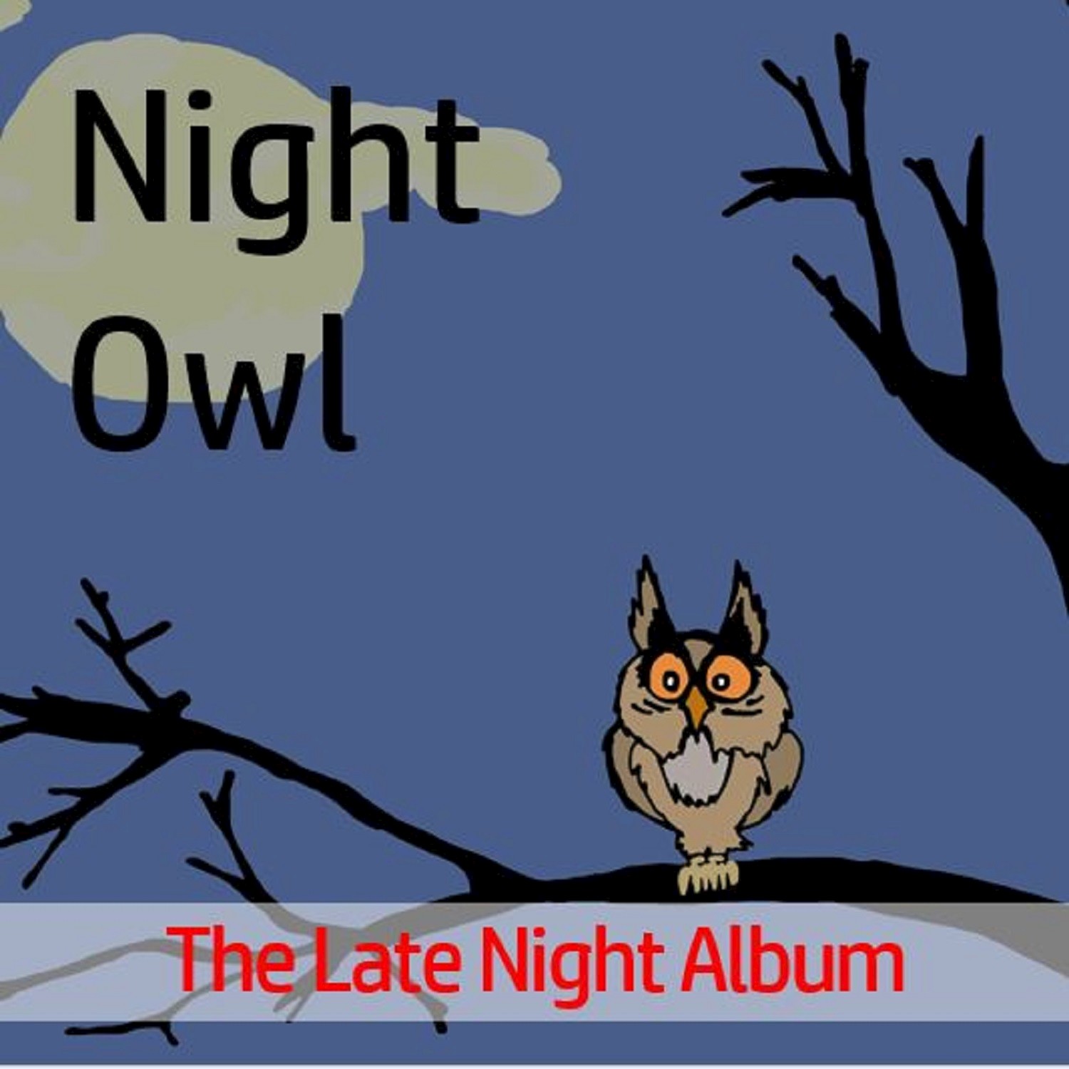 Night Owl: The Late Night Album