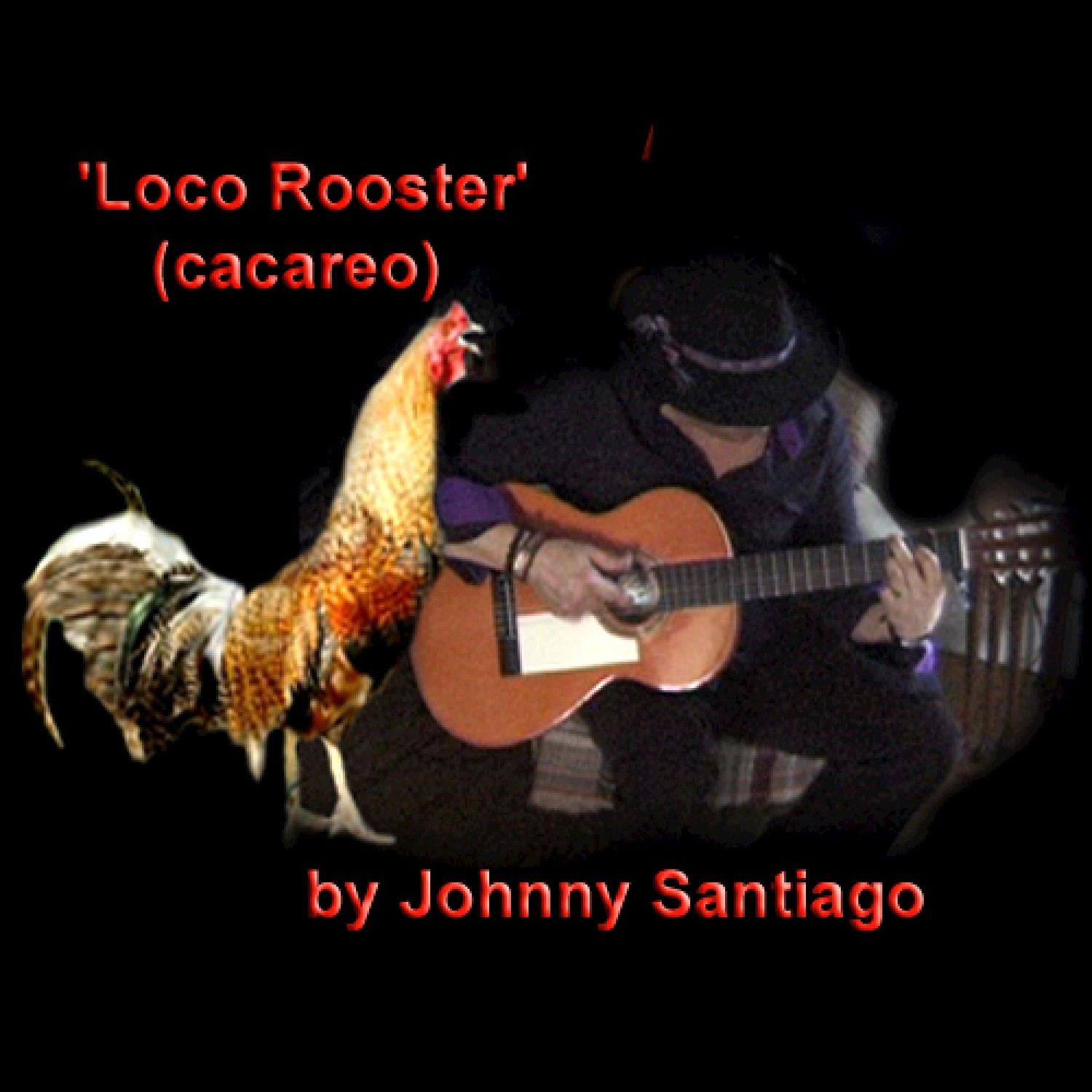 Loco Rooster (Cacareo)