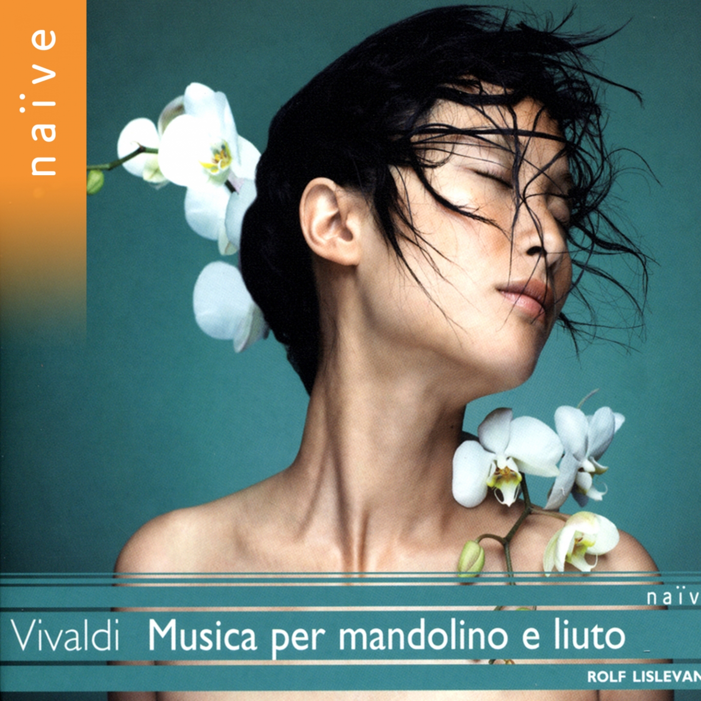 Concerto for Viola d'amore and Lute in D Minor, RV 540: II. Largo