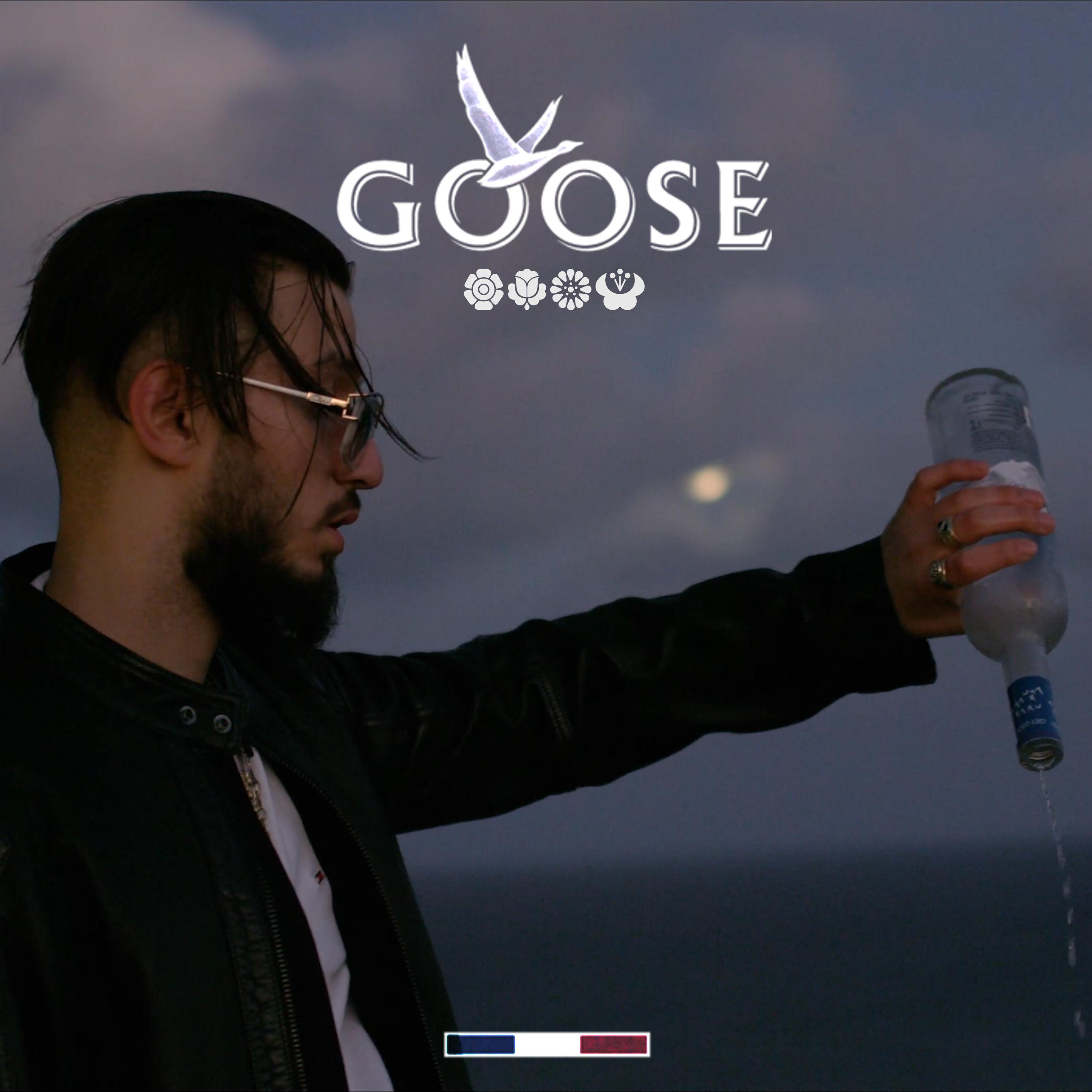 GOOSE