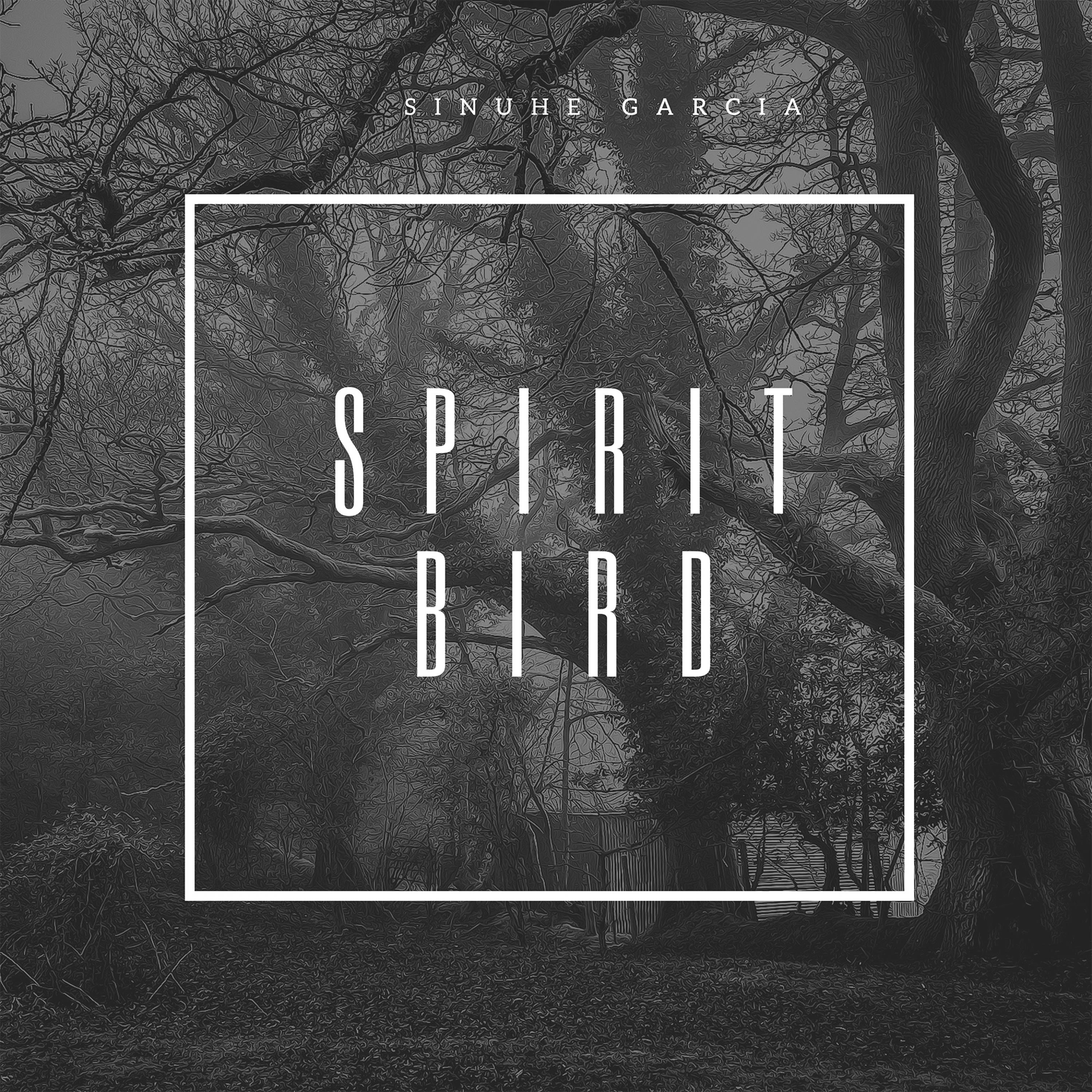 Spirit Bird