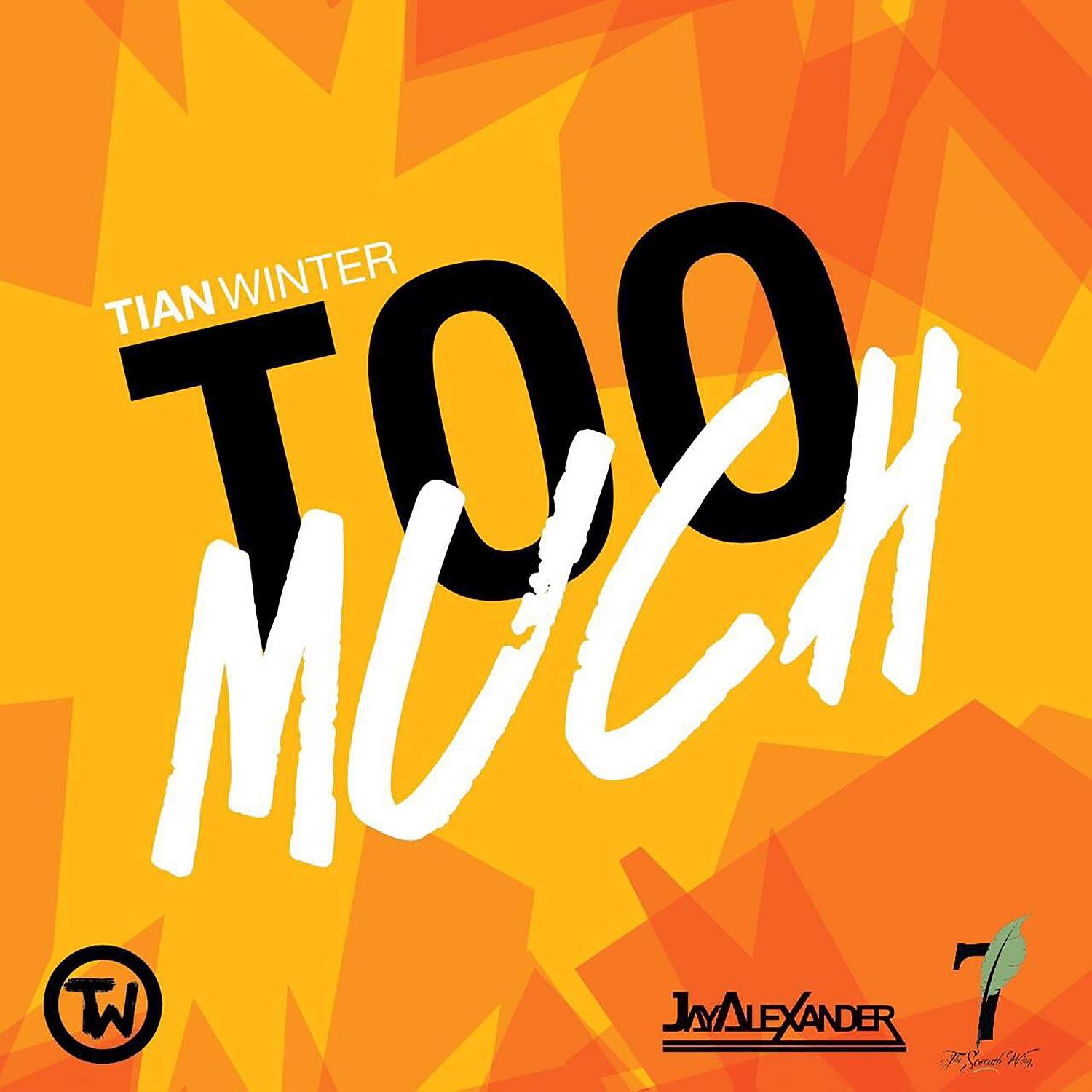 Too Much (Instrumental)