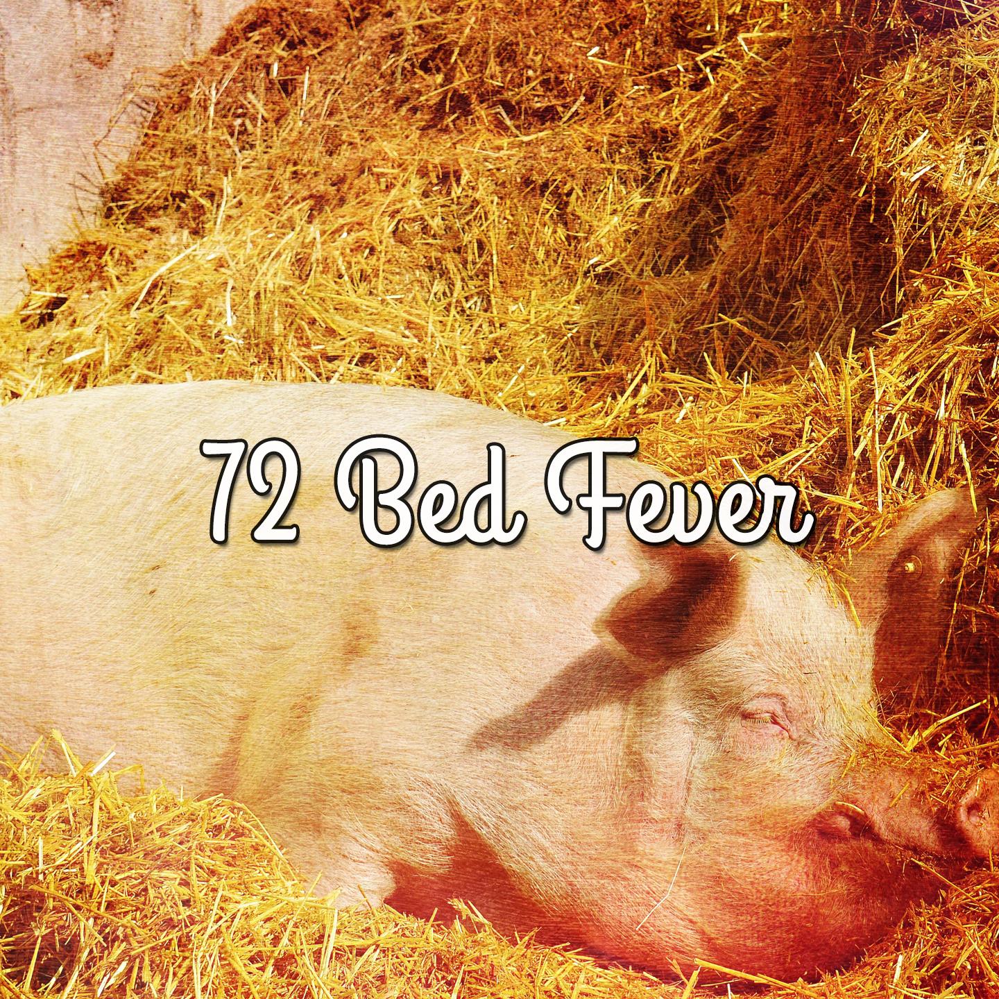 72 Bed Fever