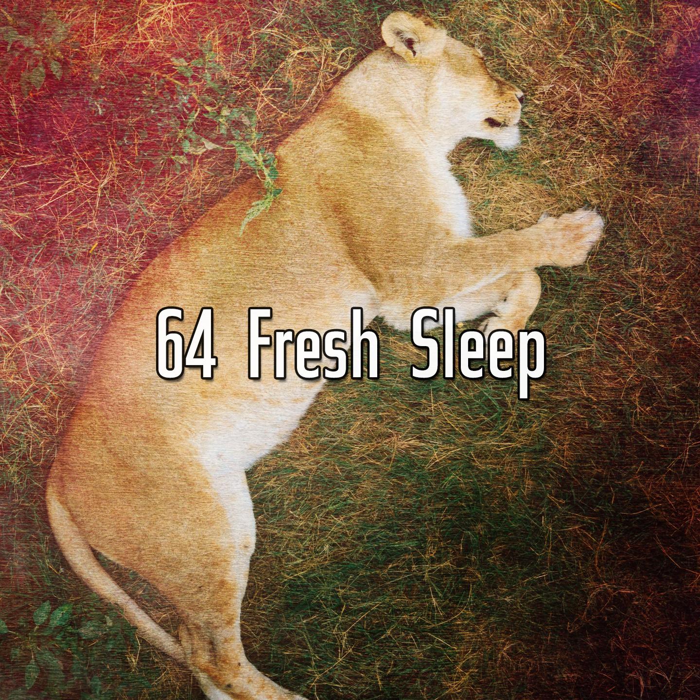 64 Fresh Sleep
