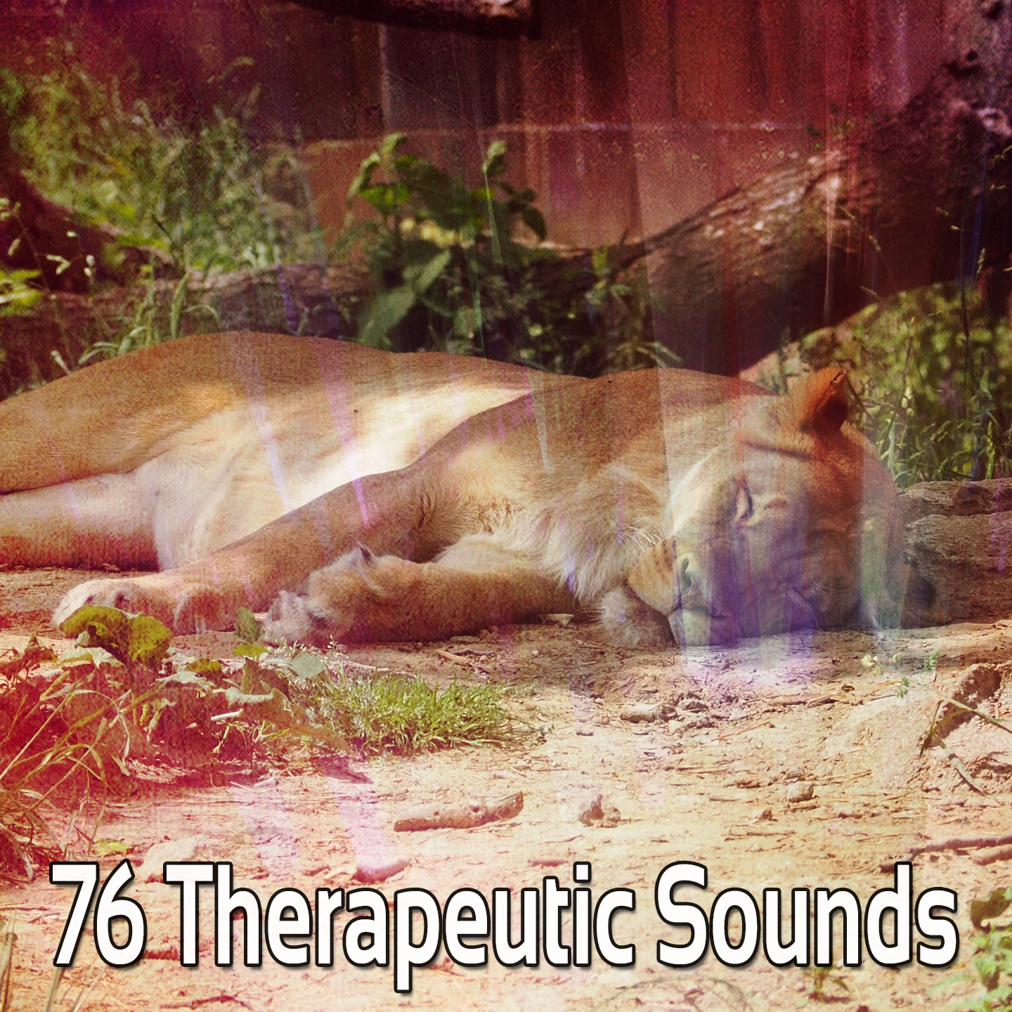 76 Therapeutic Sounds