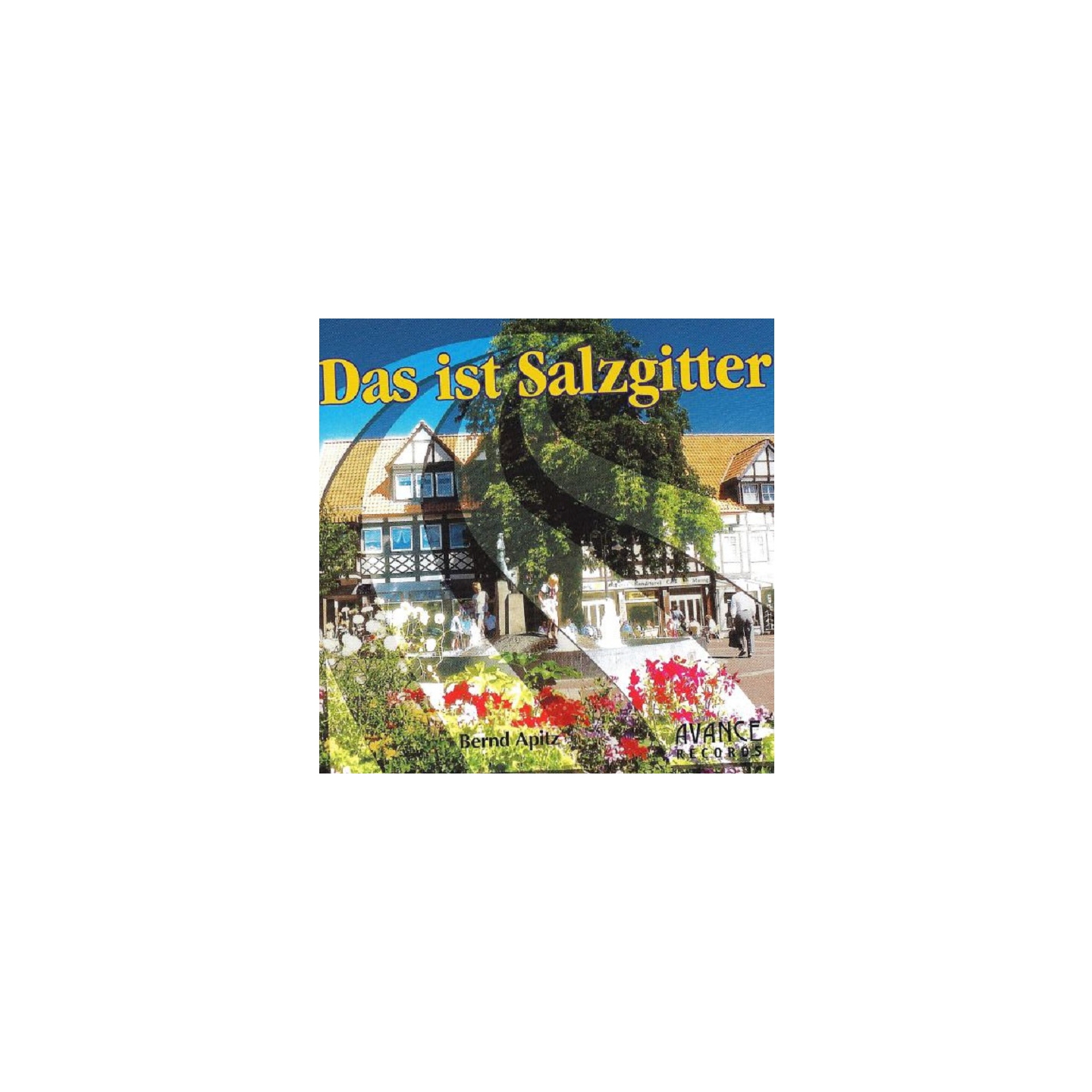 Das ist Salzgitter (Karaoke Version)