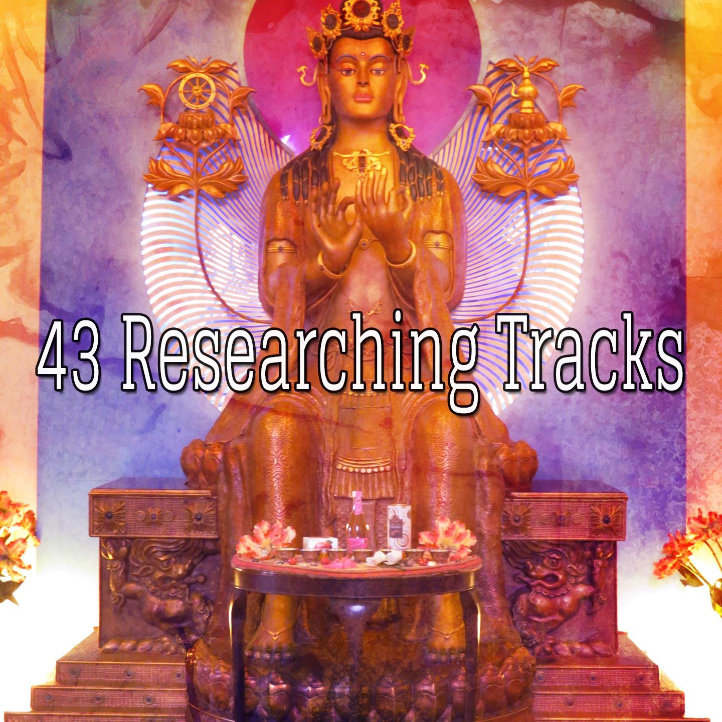 43 Researching Tracks
