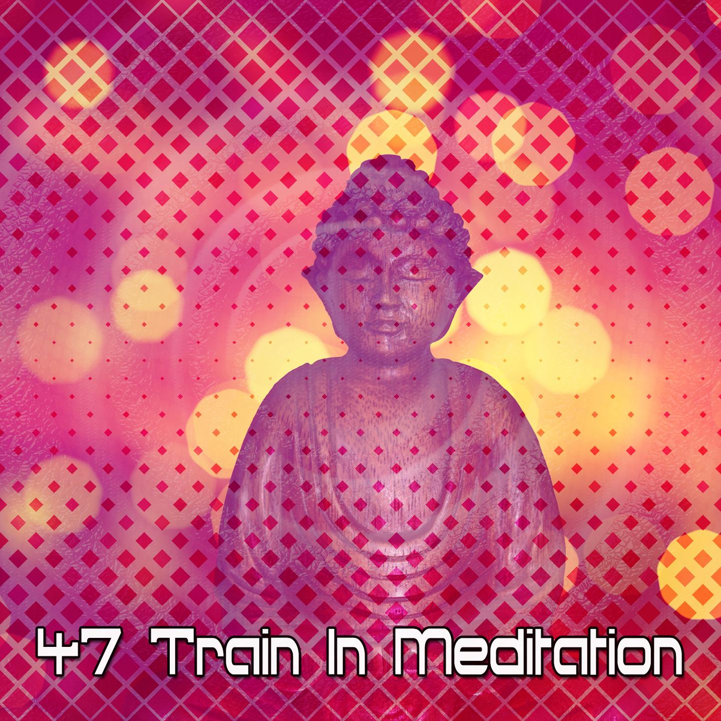 47 Train In Meditation