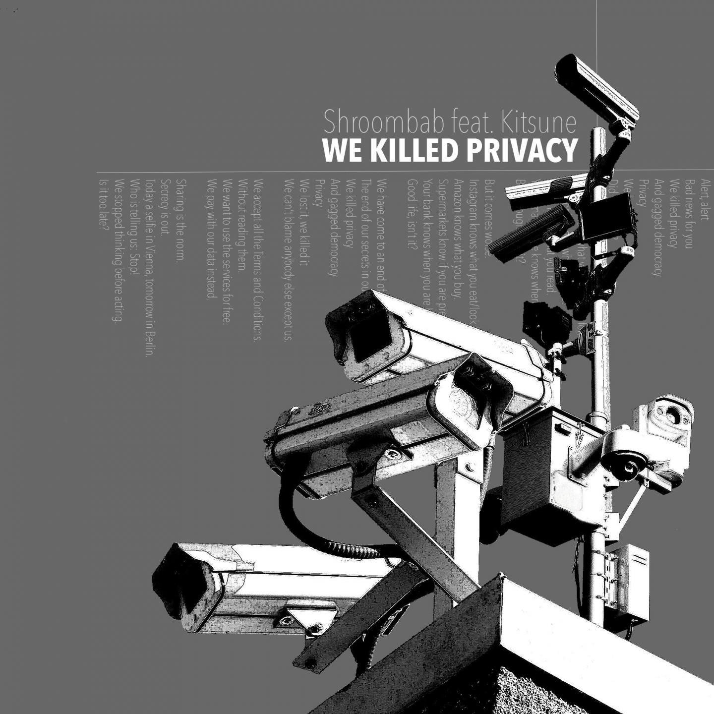 We Killed Privacy (Losehand Remix)