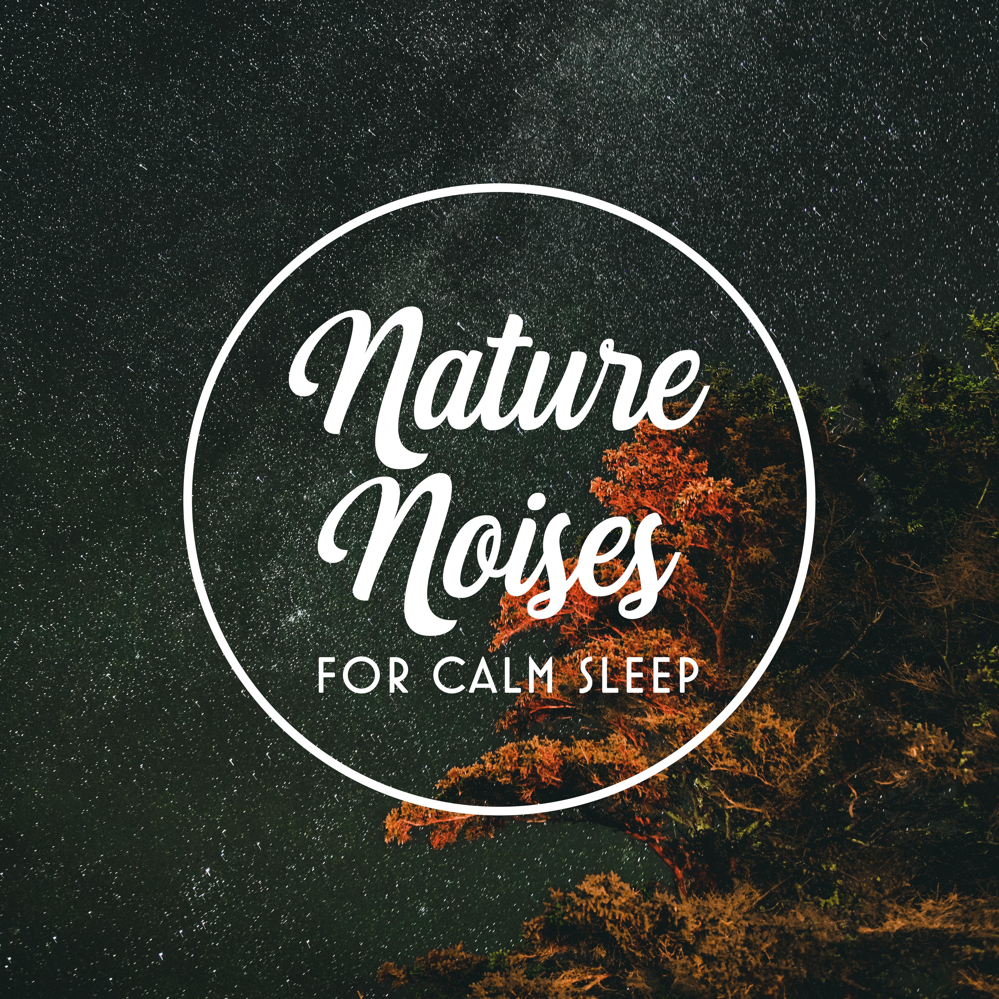 Nature Noises for Calm Sleep