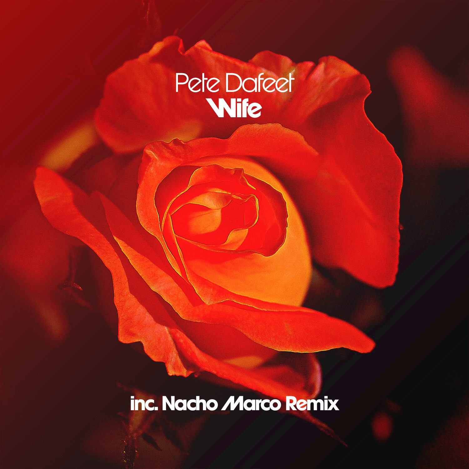 Wife (Nacho Marco Remix)