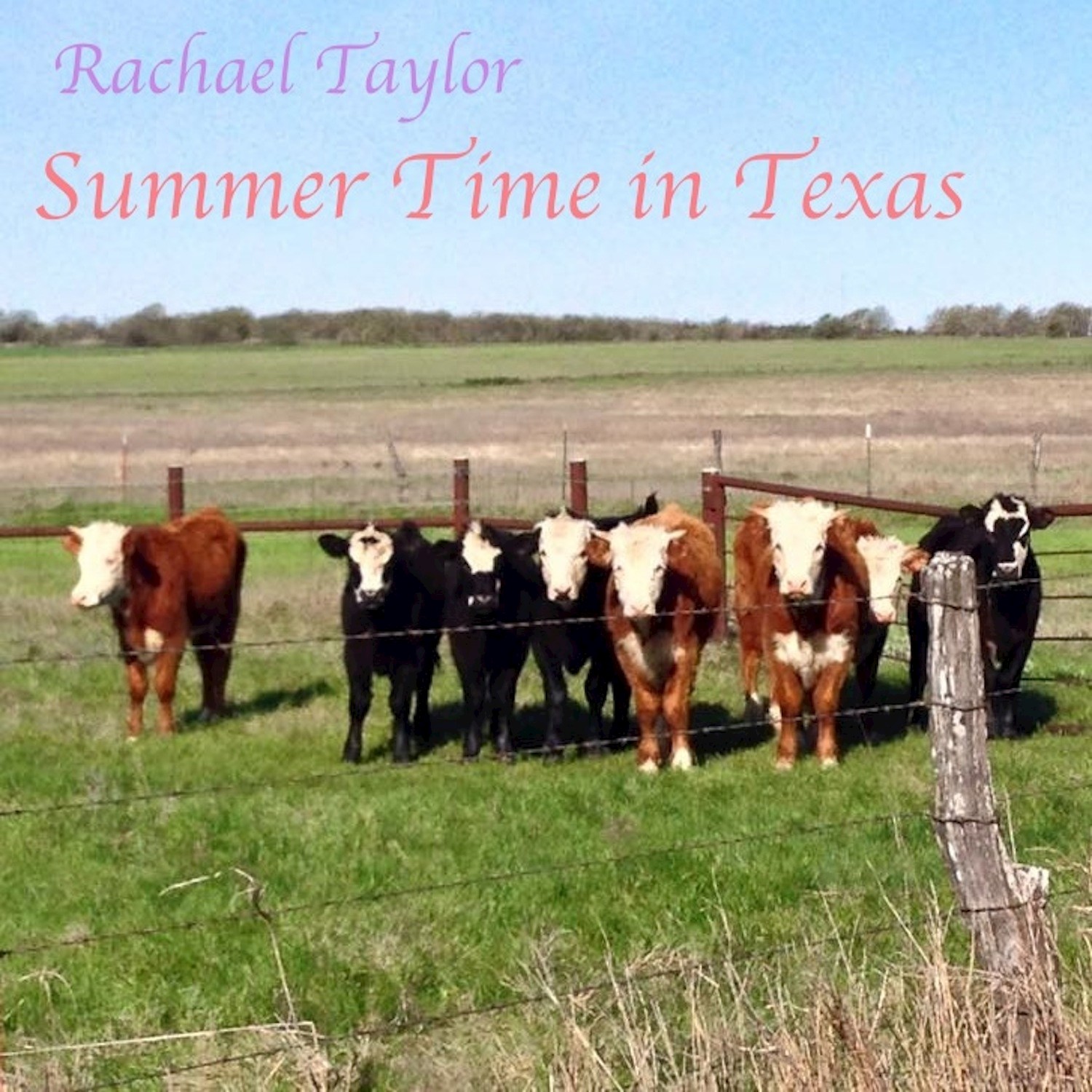 Summer Time in Texas