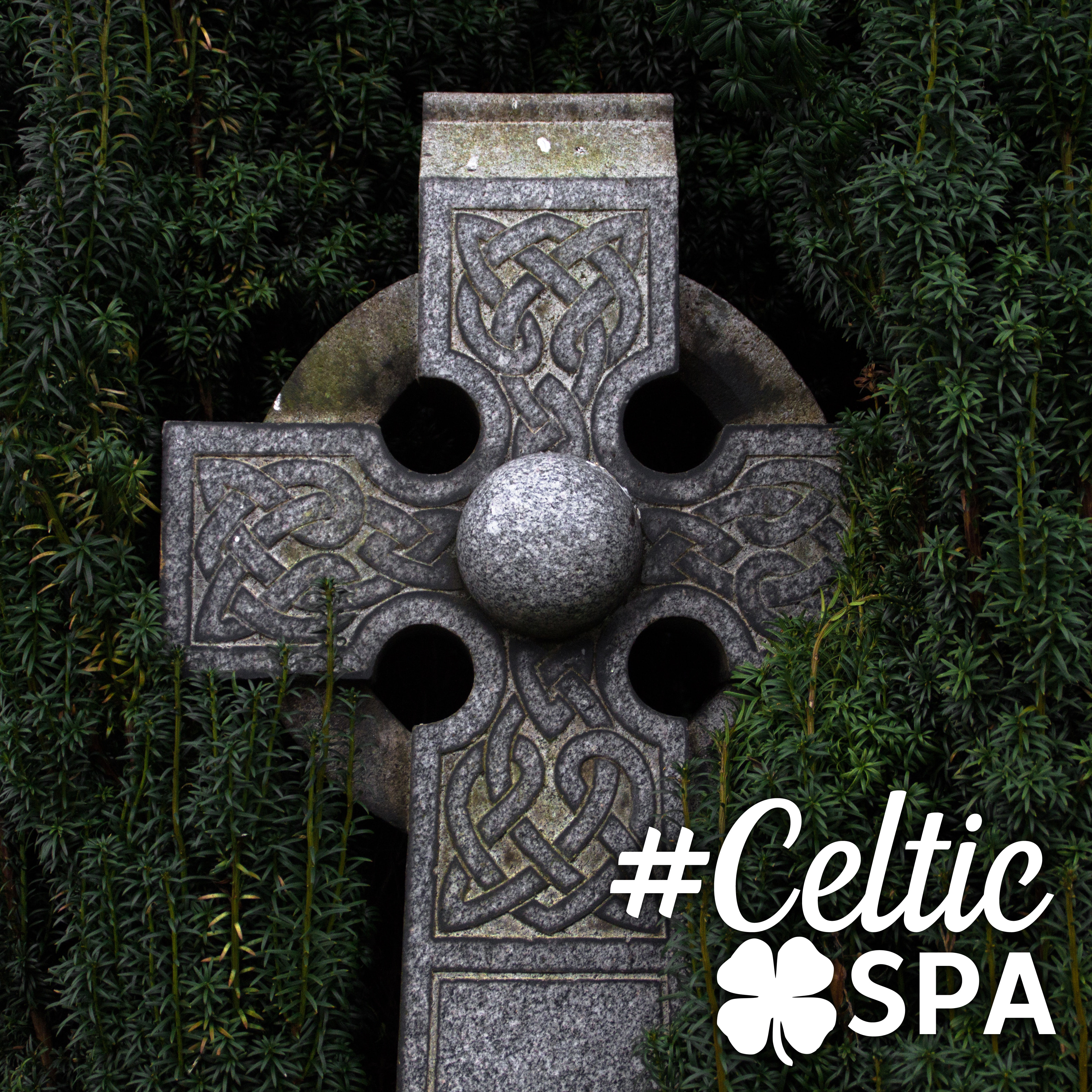 #Celtic Spa