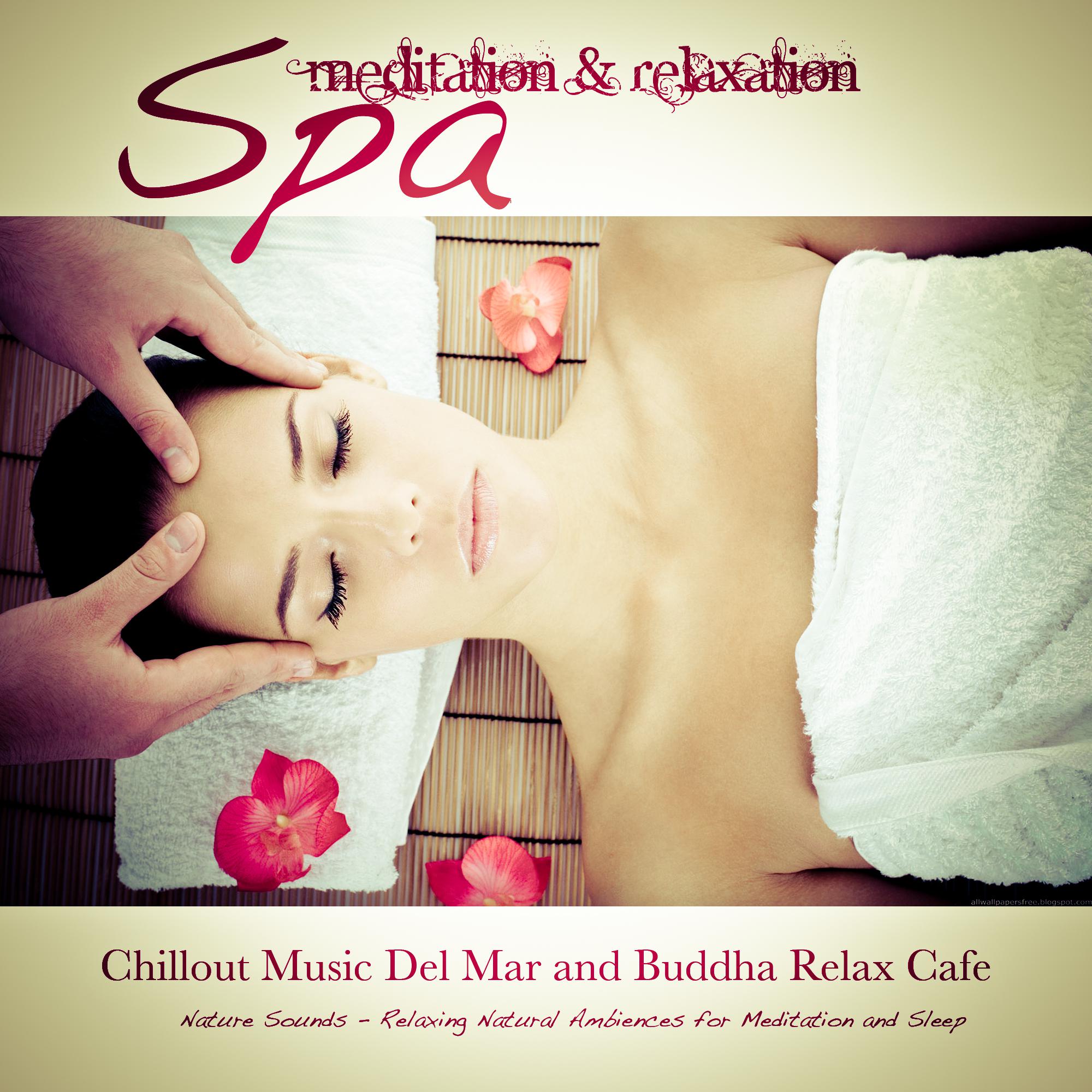 Spa (Music for Massage, Relax, Yoga, Deep Sleep and Well-Being)