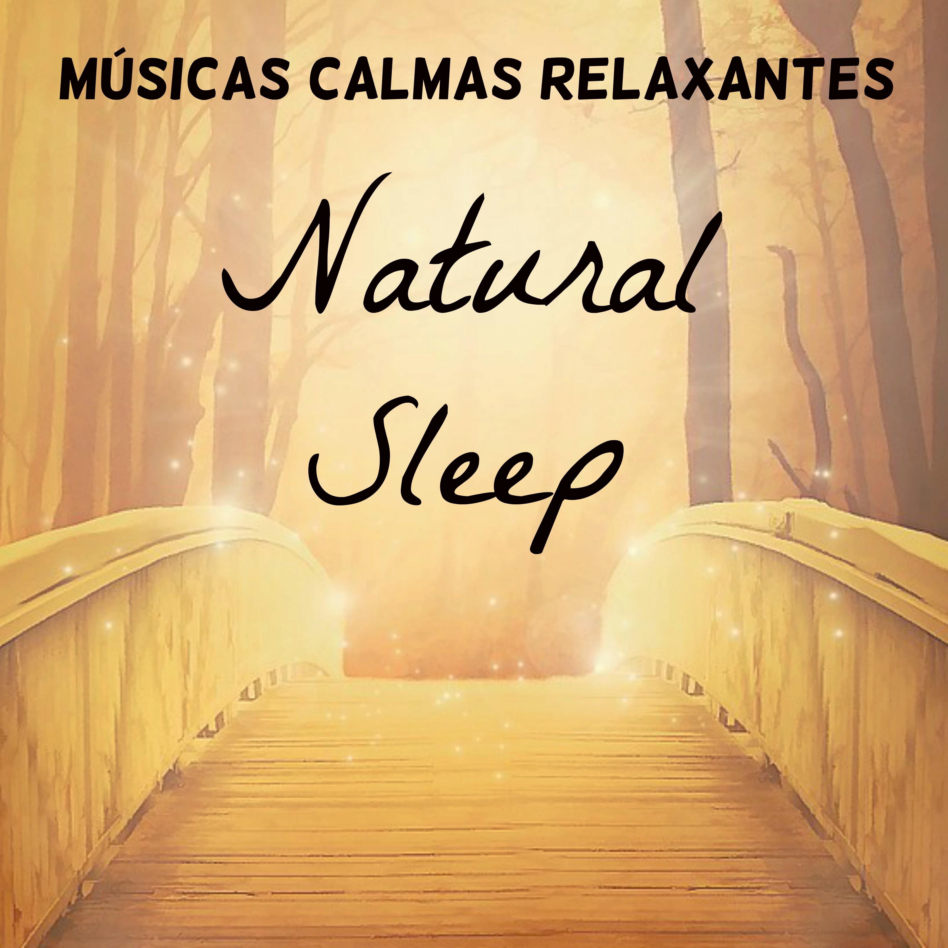 Natural Sleep - Músicas Calmas Relaxantes para Retiro Meditação Chakras do Corpo Tratamento Espiritual com Sons Naturais Instrumentais New Age